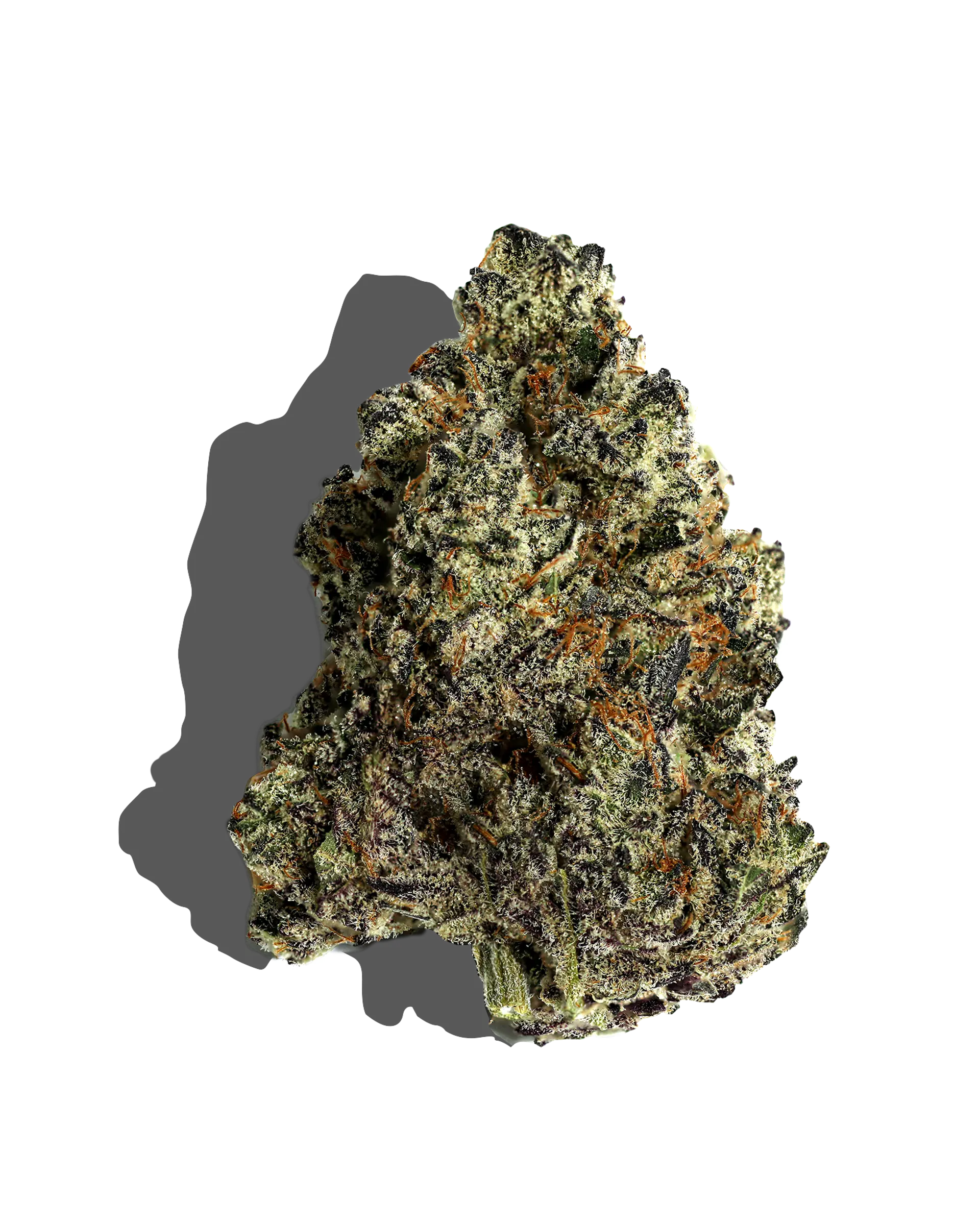 Power Lime Flower