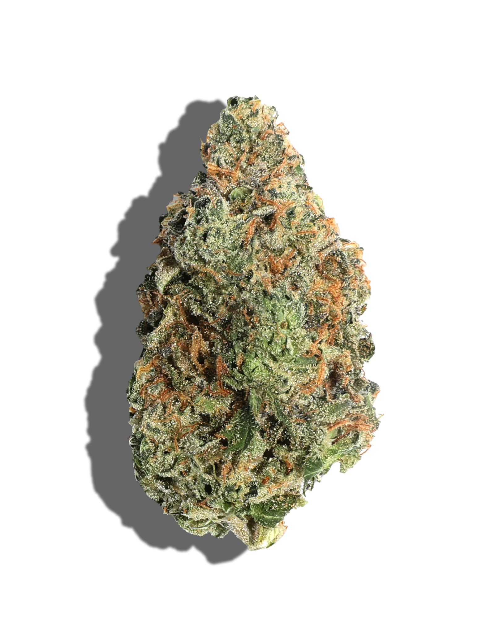 Limited Edition Holiday MSG Flower, 2 of 3