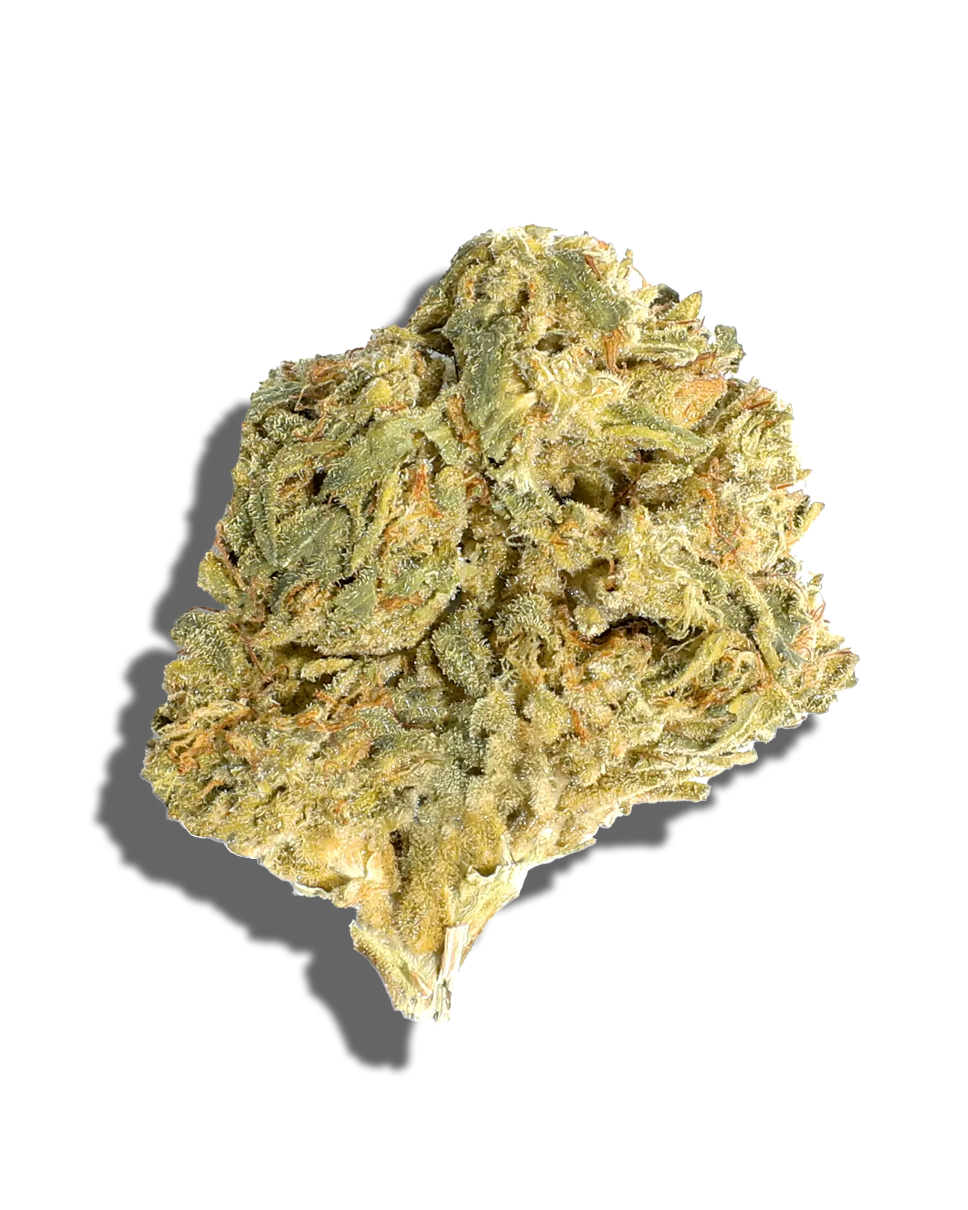 Sungrown Biscotti Cake 3.5g