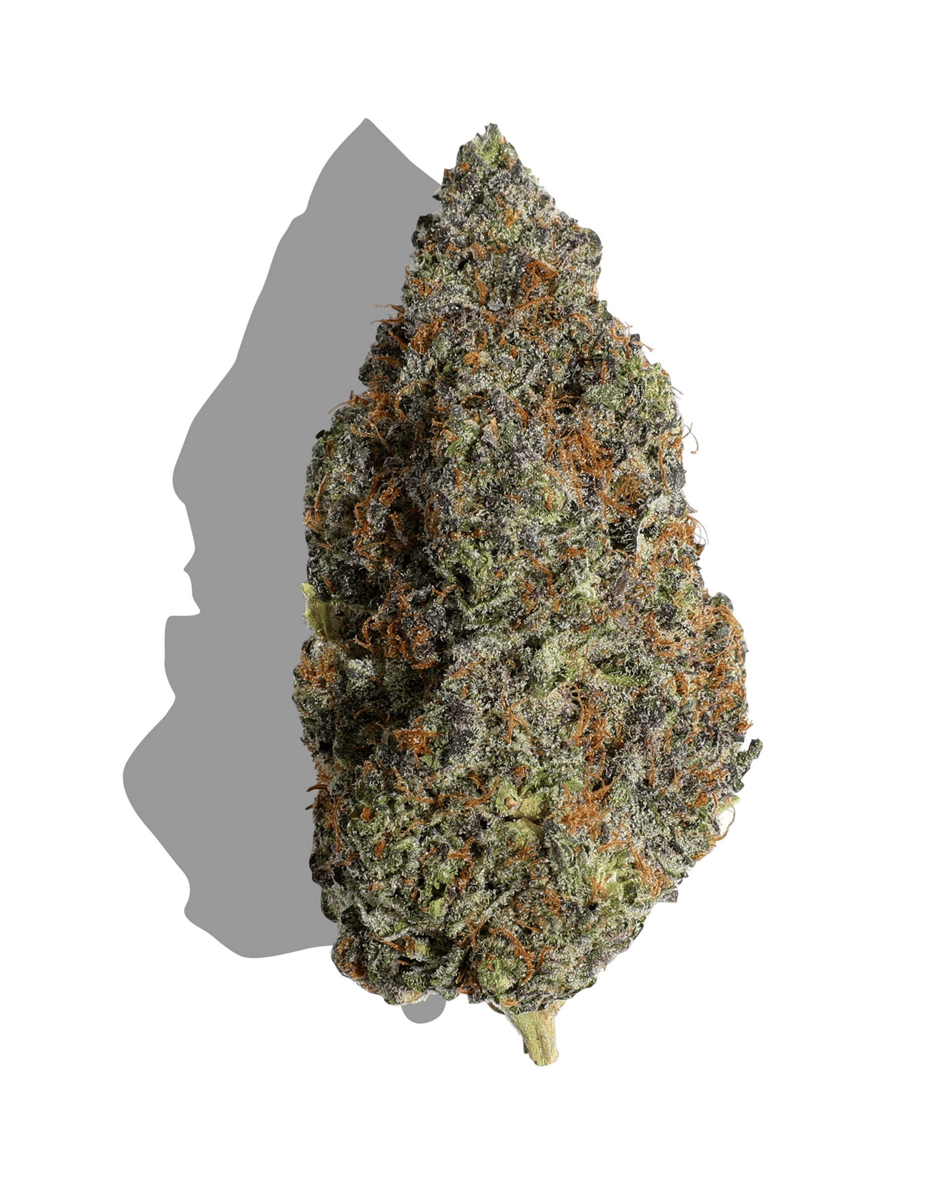 Ice Cream Cake 3.5g