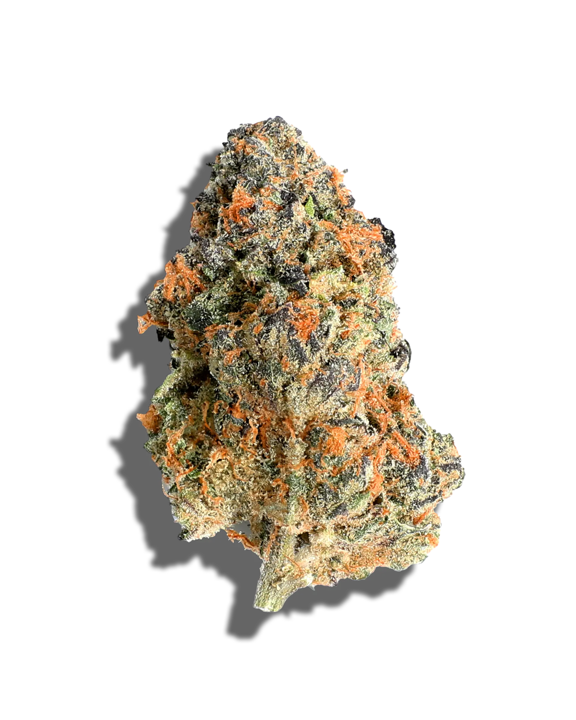 RS 54 3.5g