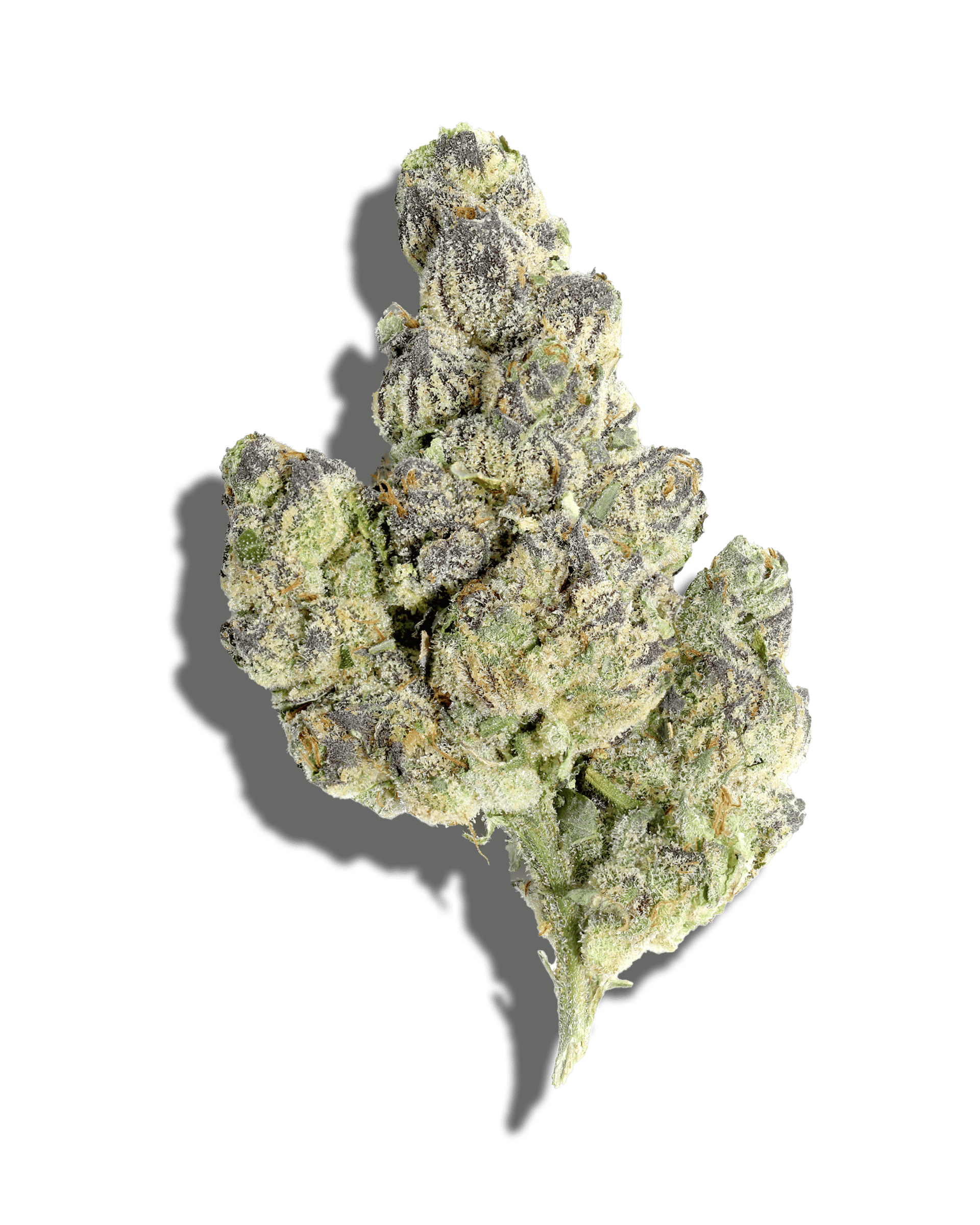 Sherb Cocktail 1oz