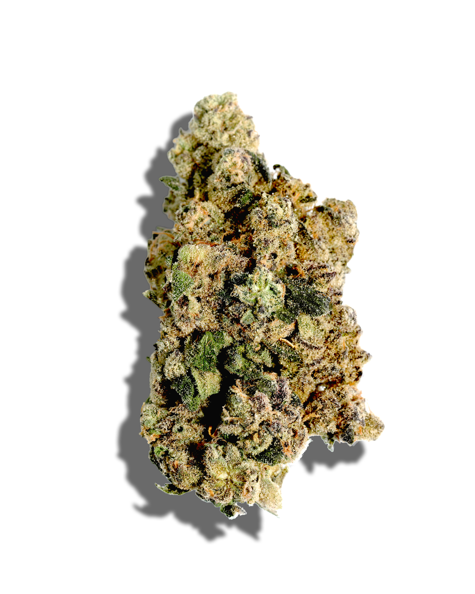 Category 5 3.5g, 1 of 3