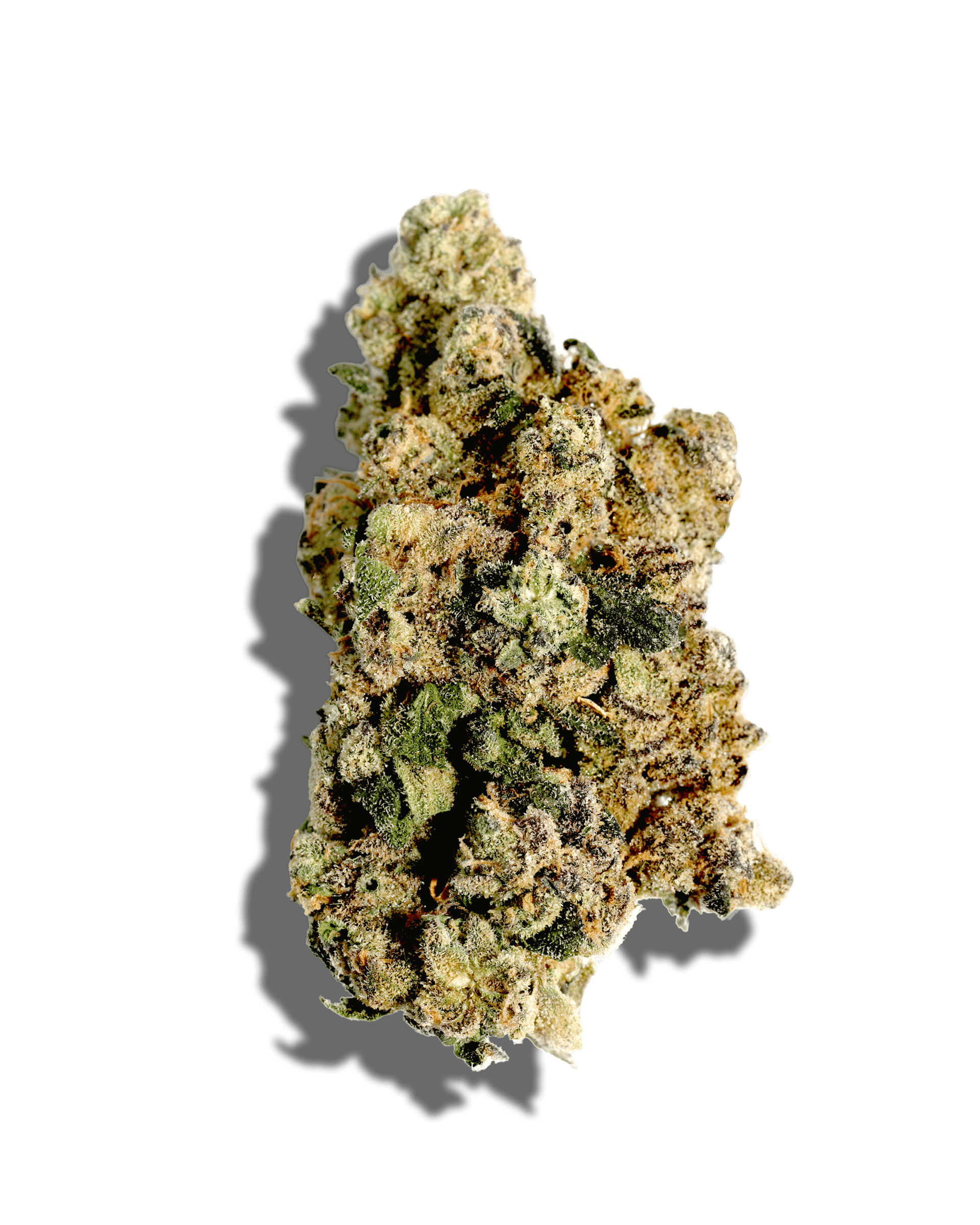 Category 5 3.5g