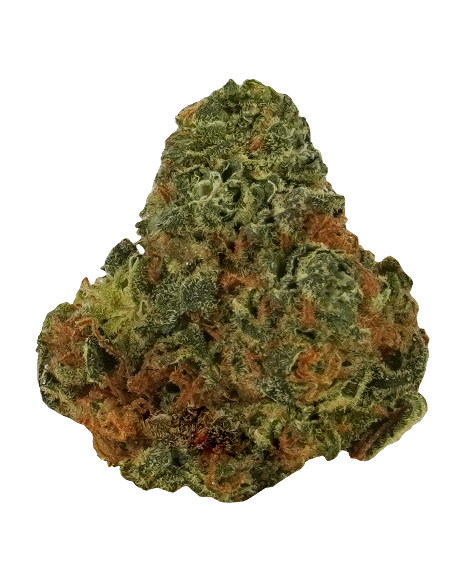 Holy Roller Flower