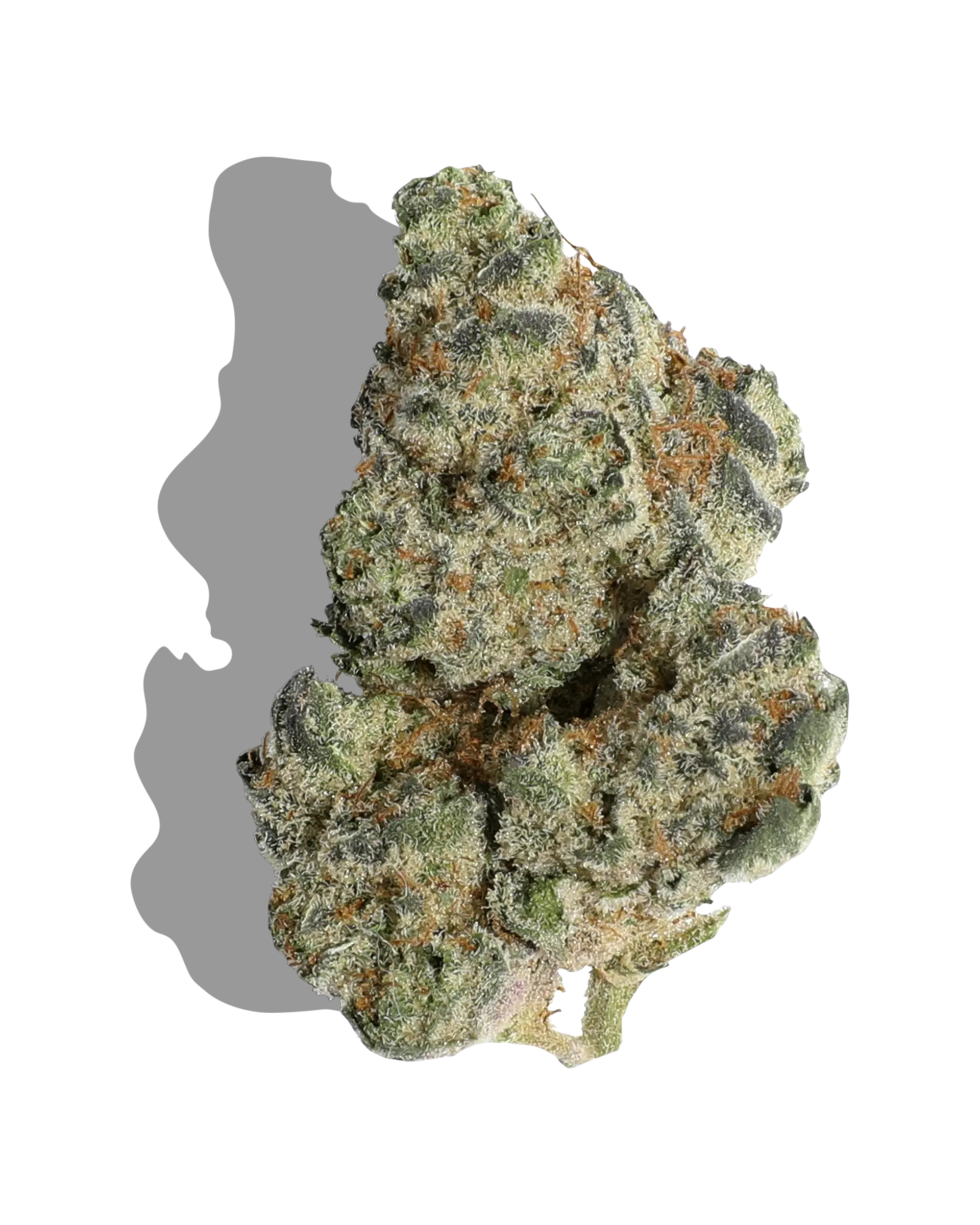 Space Fuel 3.5g