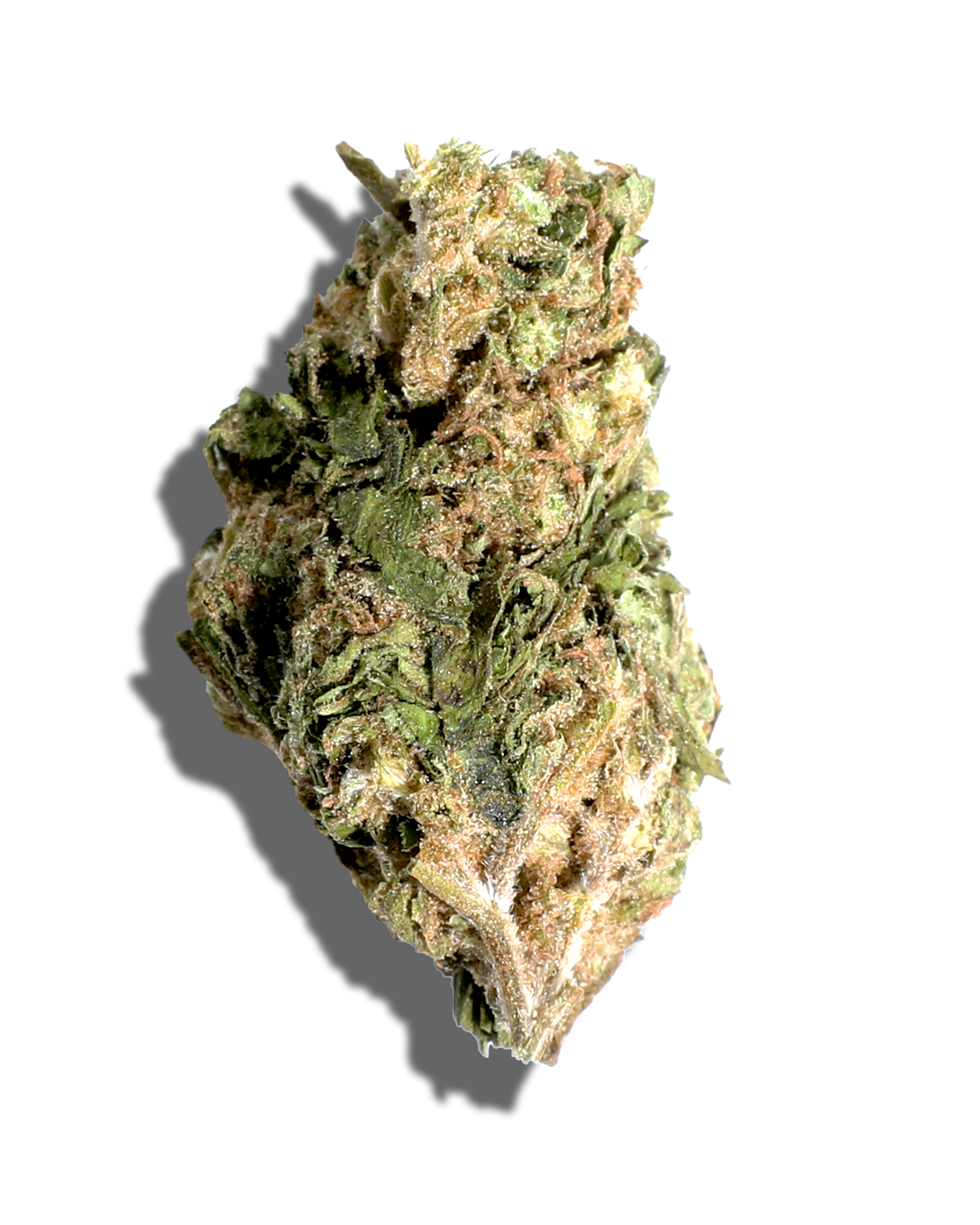 Sungrown Jack Herer 3.5g, 1 of 3