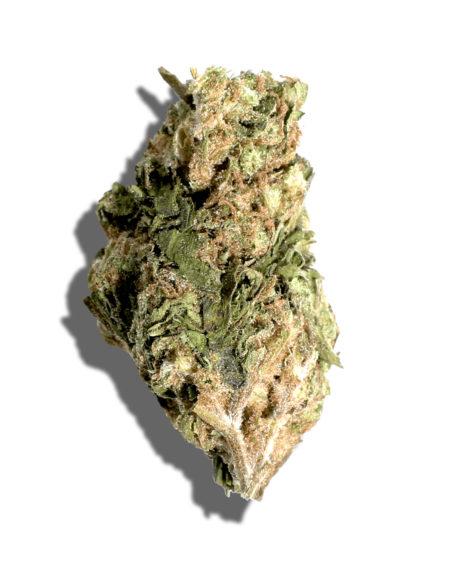 Sungrown Jack Herer 3.5g