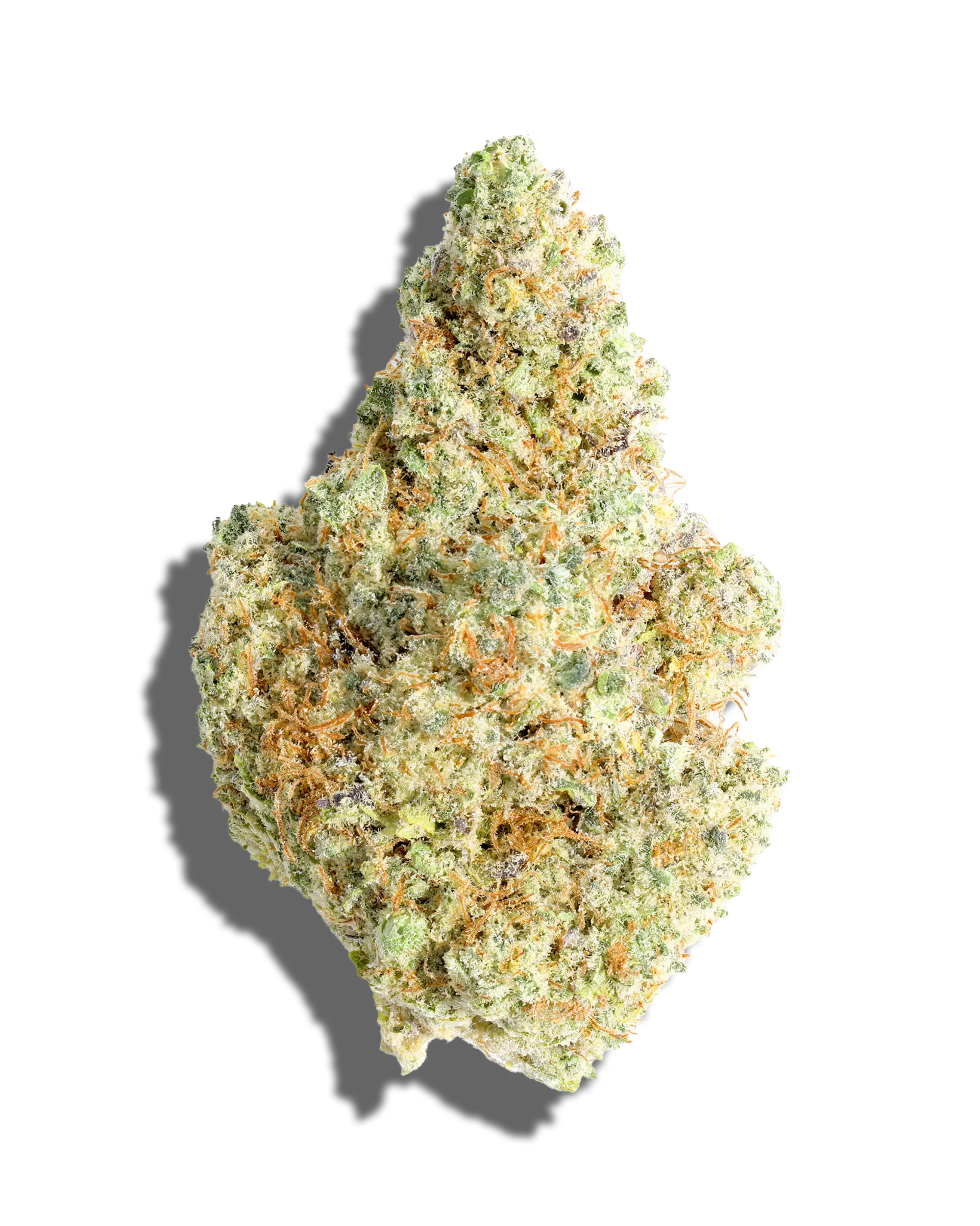 Blueberry Cupcake 3.5g