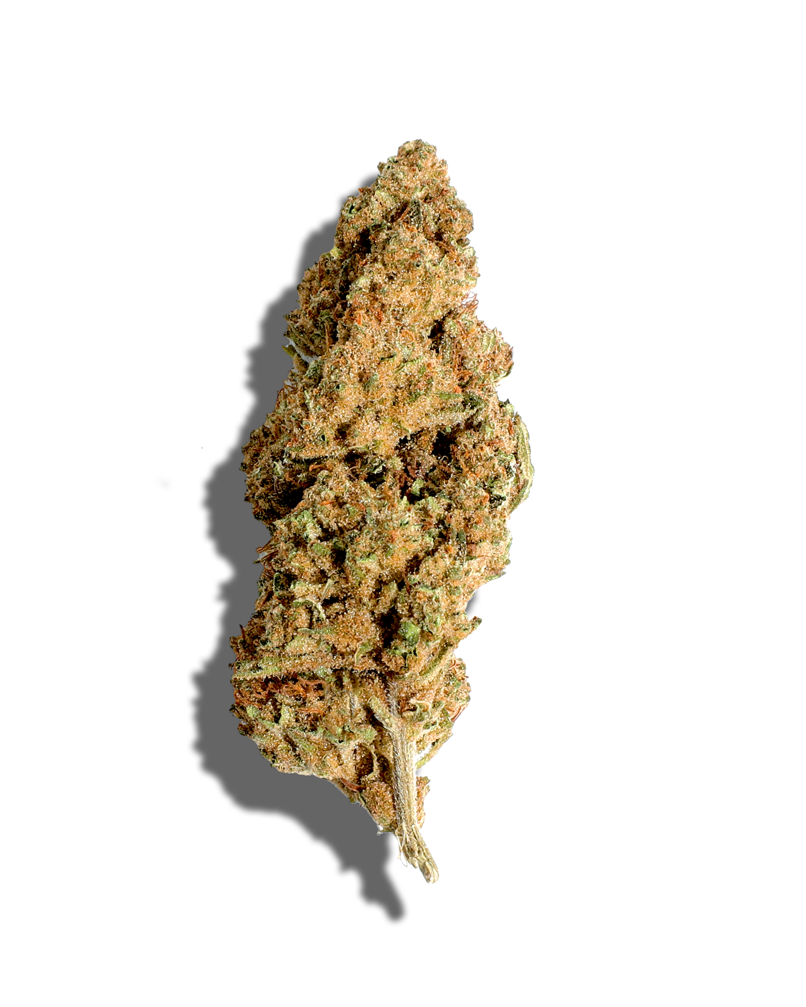 Sungrown Lemon Venom 3.5g, 1 of 3