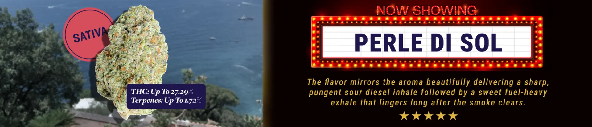 slimHeroDesktop_Oz-perledisol.png