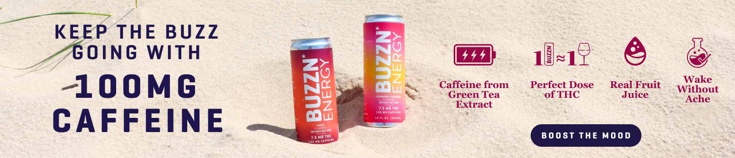 slimHeroDesktop_buzzn_energy2.png
