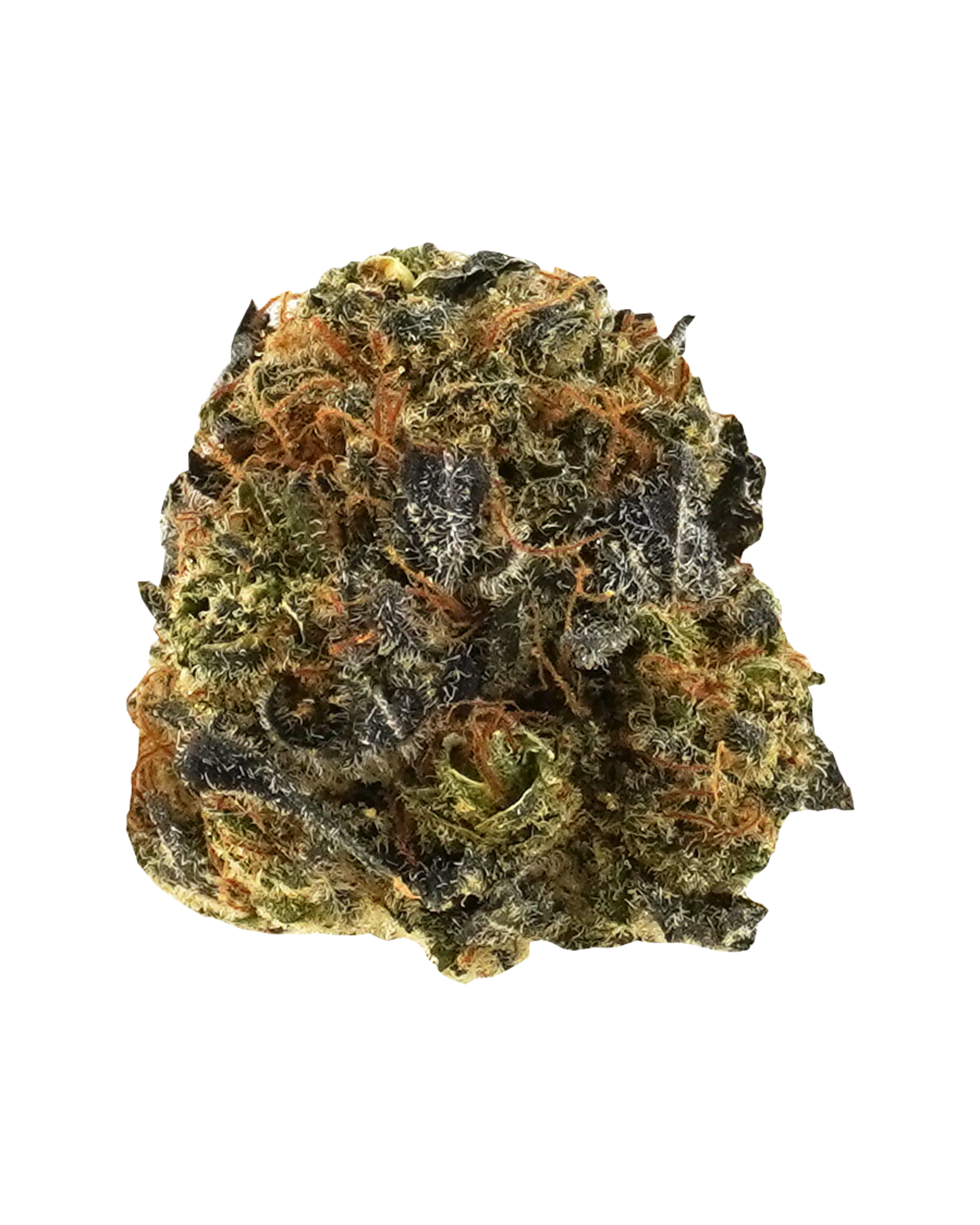 Lumpy Space Princess Flower