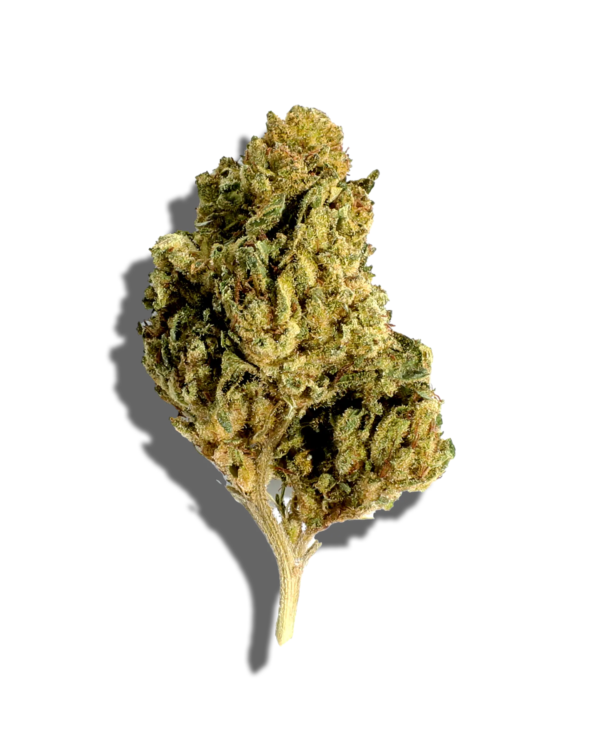 Sungrown Hip Hop Kush 3.5g