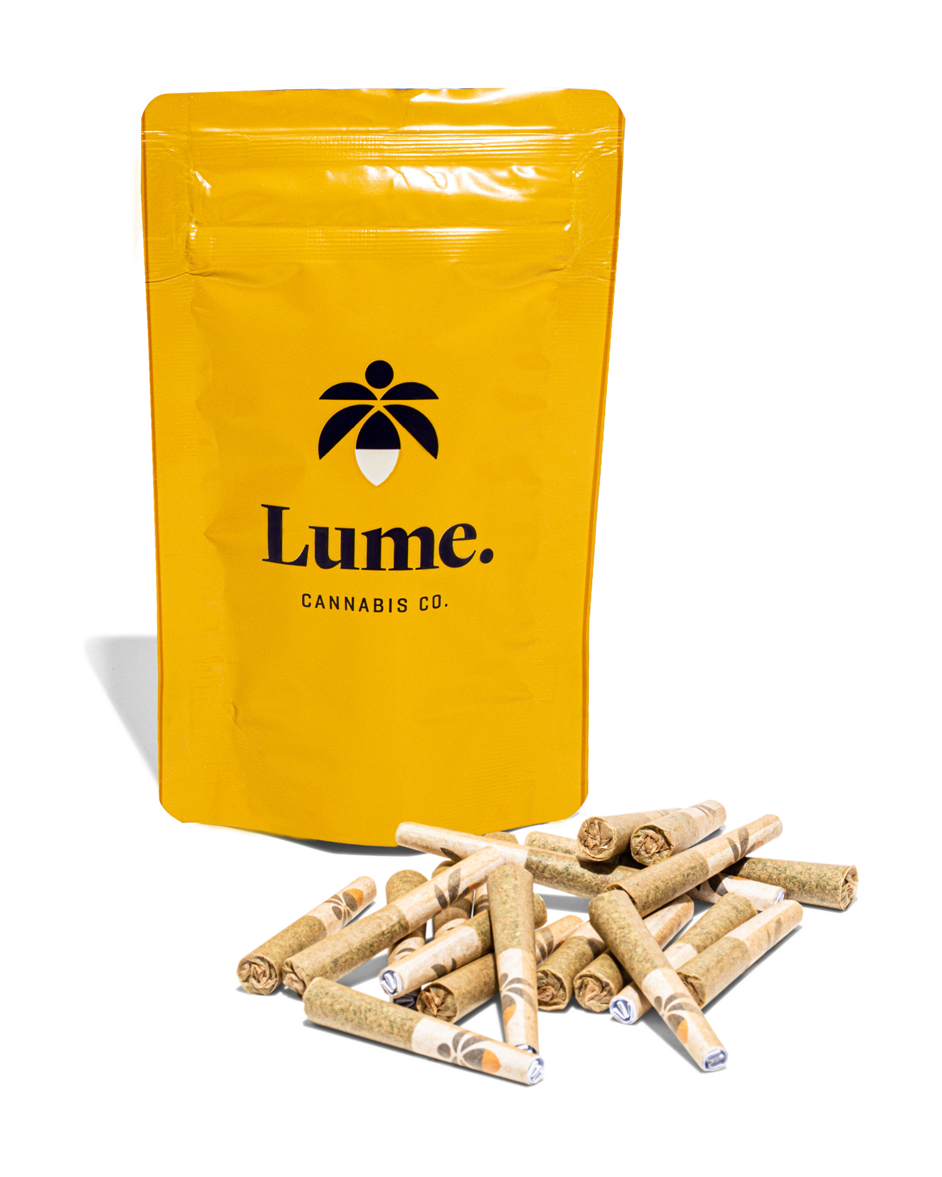 Magik Preroll
