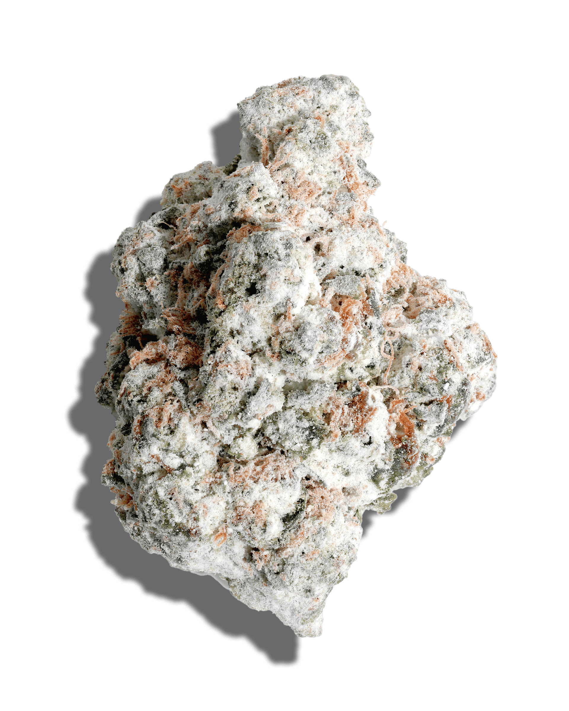 Blueberry Crumble X Grease Monkey Amp'd Live Resin Infused Flower 5g