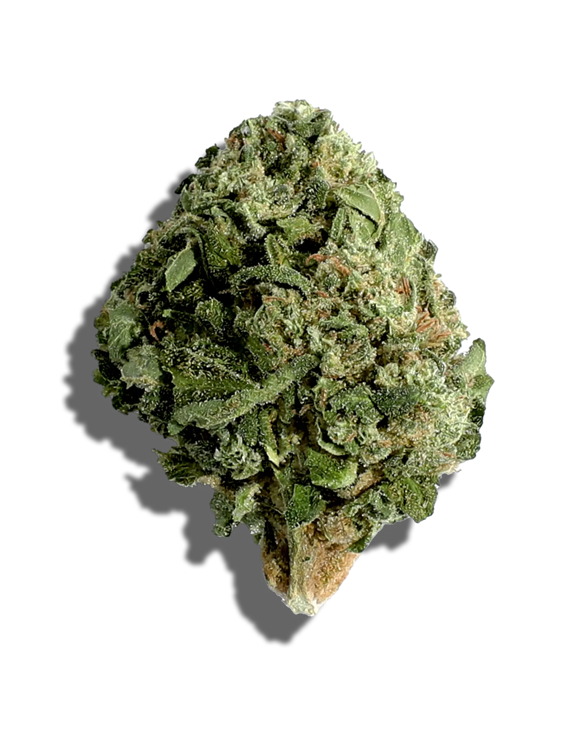 Sungrown Ouzo 1oz