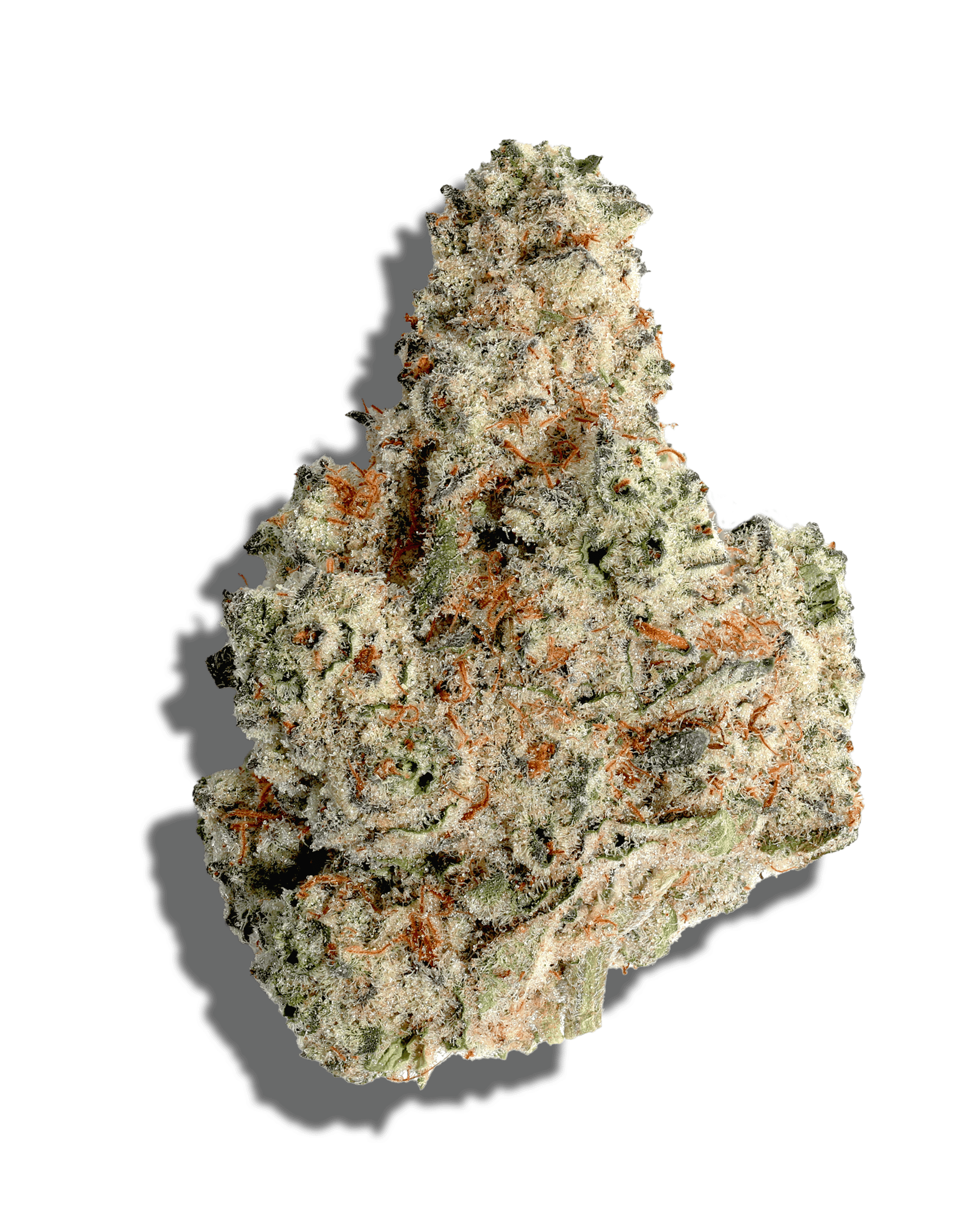 Double Stuffed Oreoz 3.5g