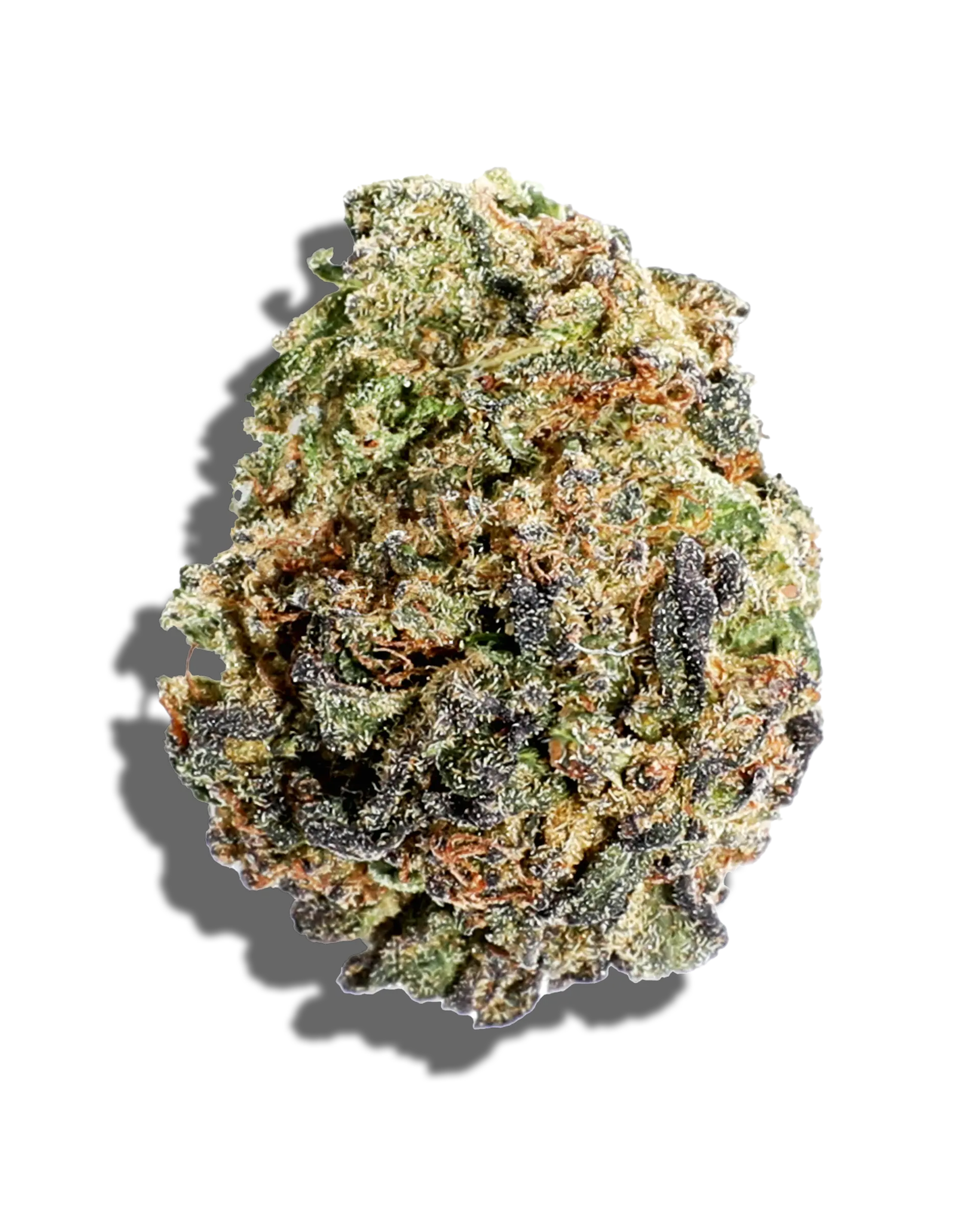 Sunkissed Animal Mintz 3.5g