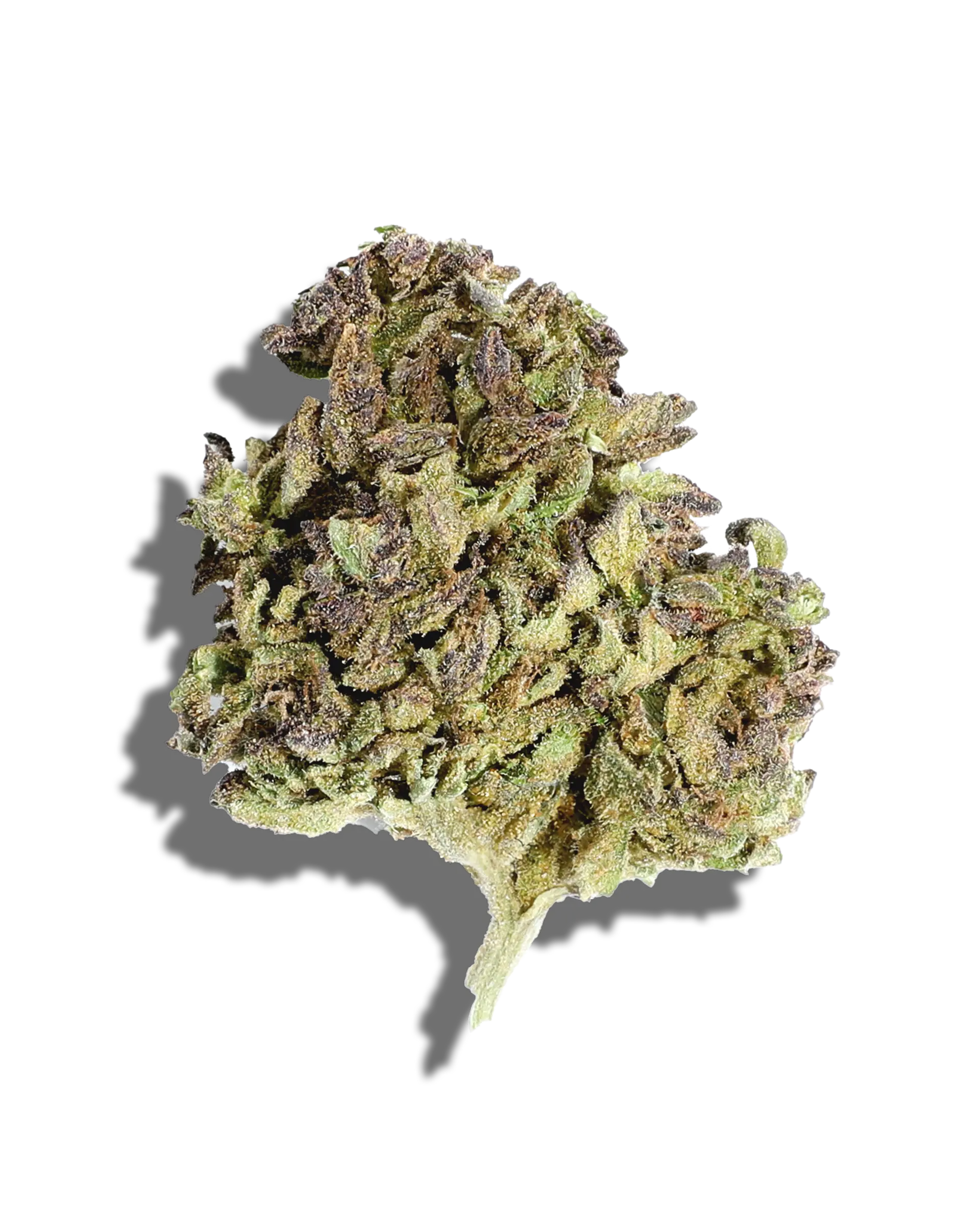 Sunkissed Pineapple Muffin 2oz