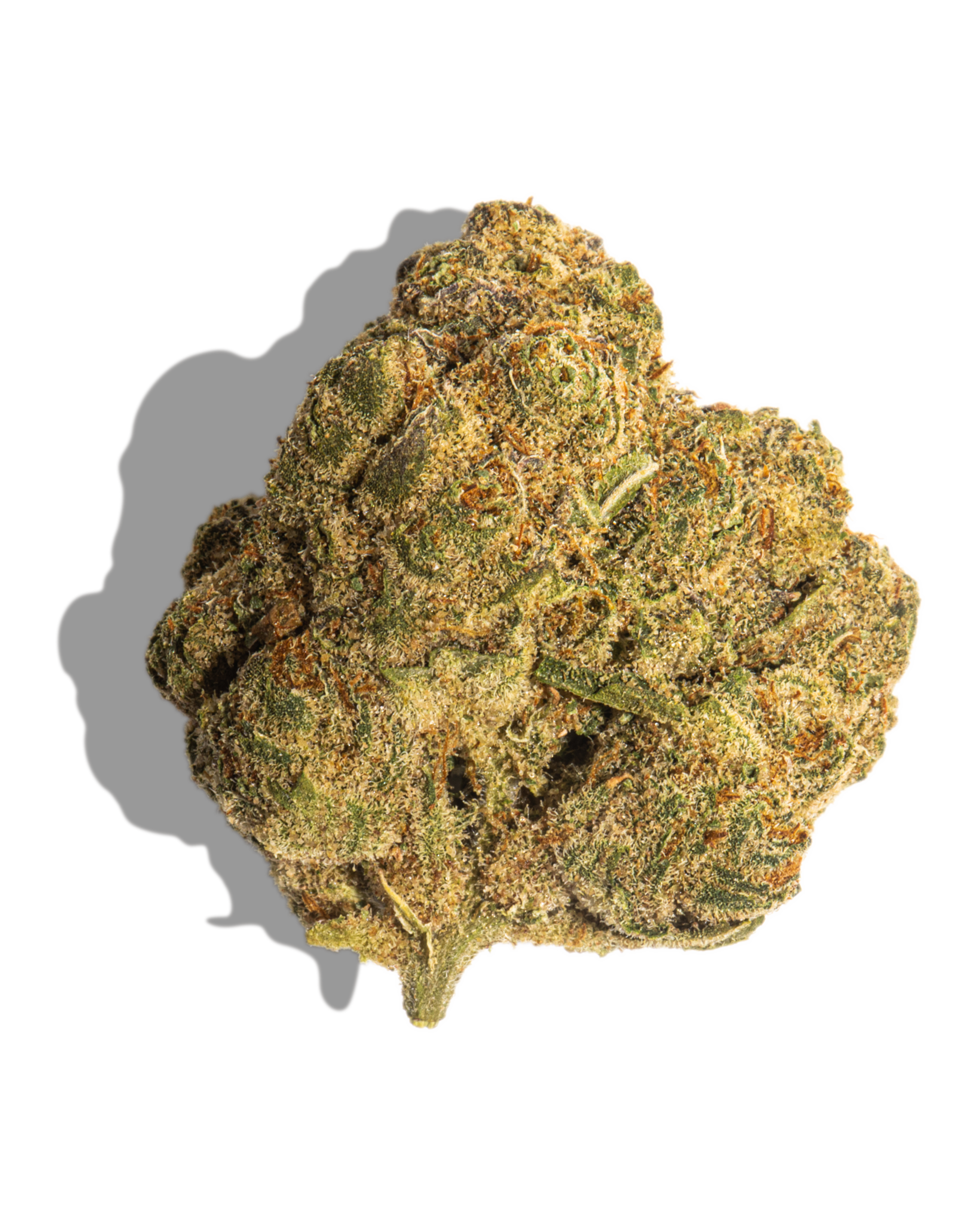 Bombulan Flower