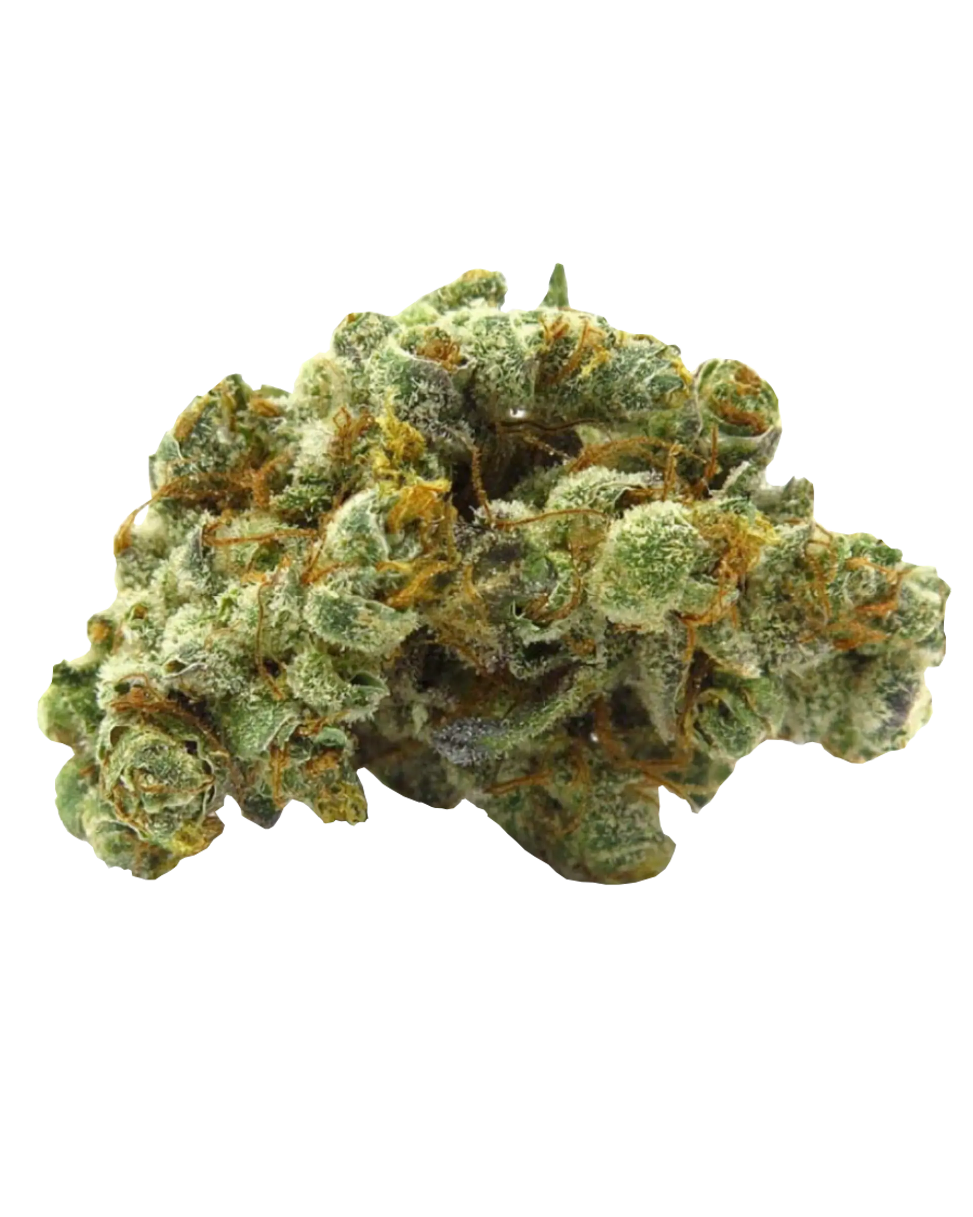 Gmo 3.5g