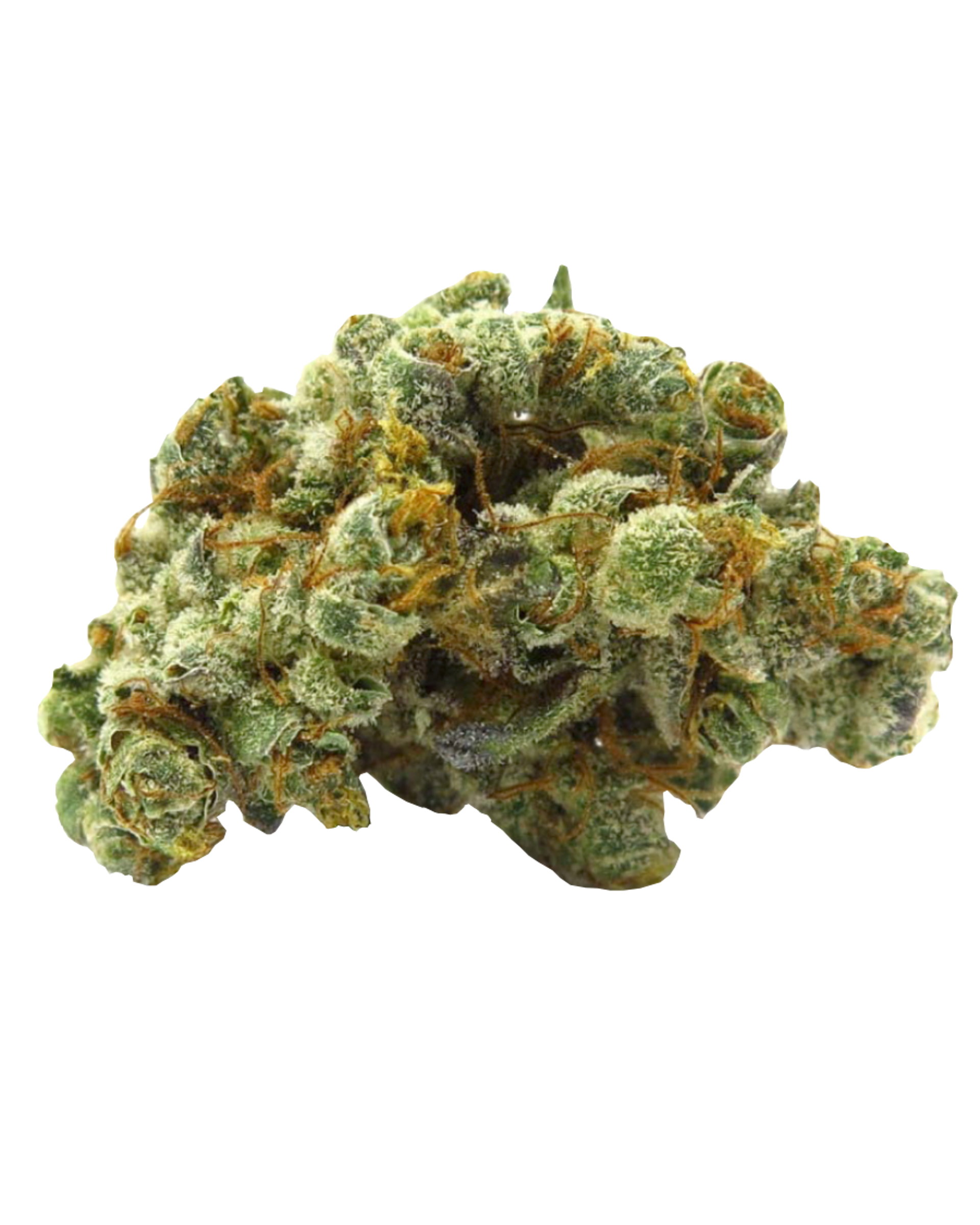 GMO Flower