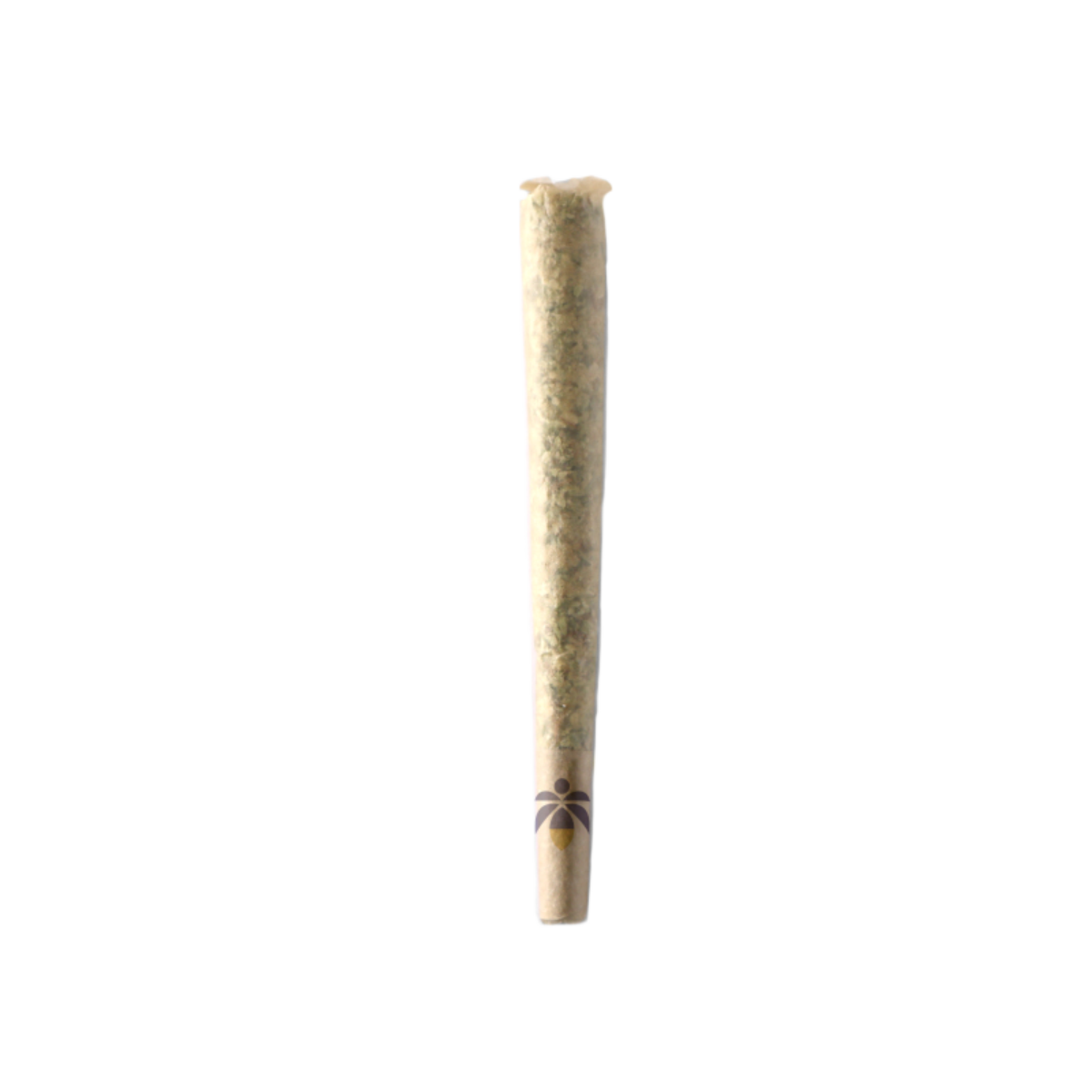 Bobby Wild Preroll