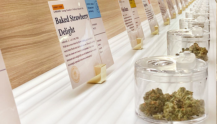 Discover our Ironwood Dispensary for the Best Selection of Cannabis