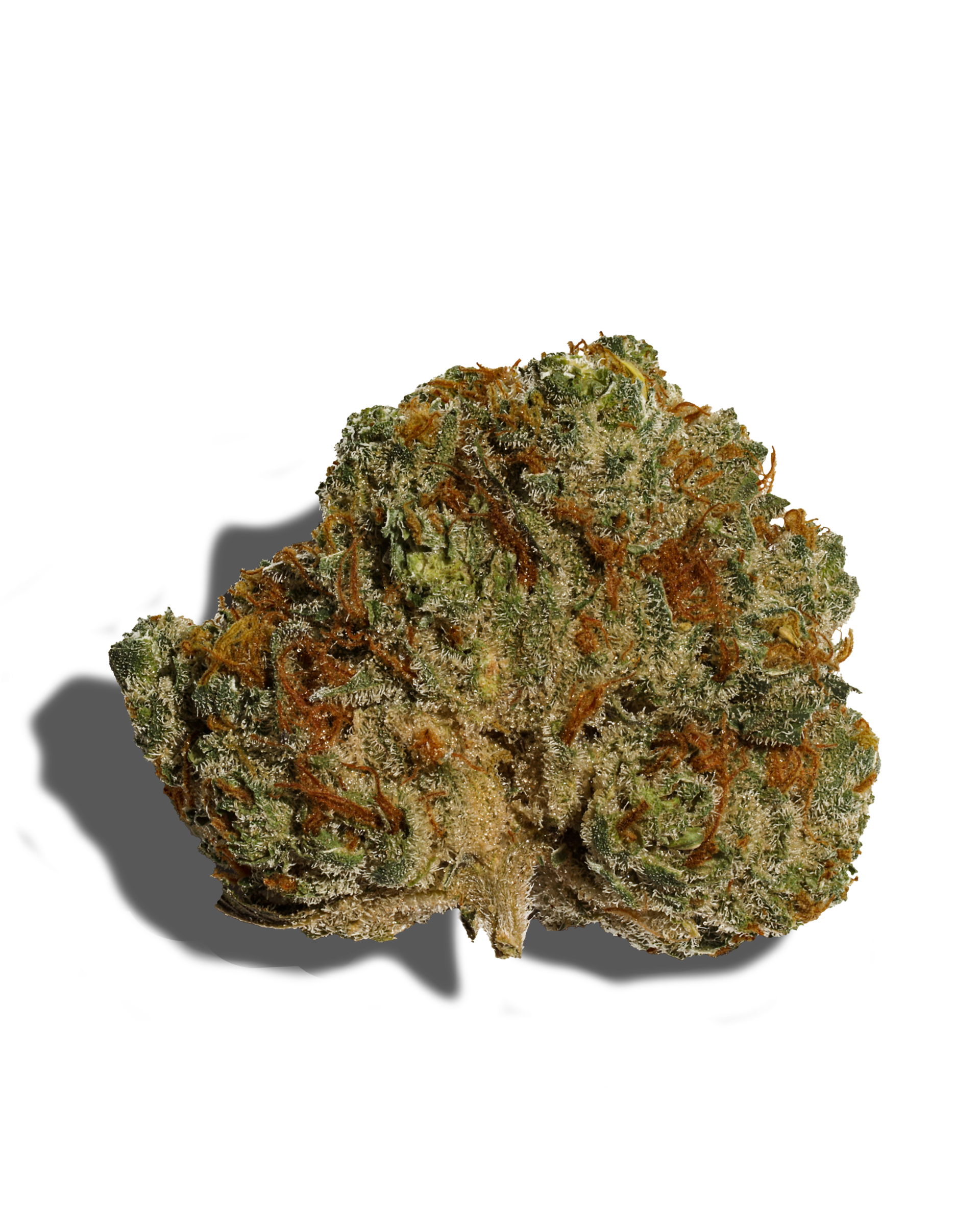 GMOreoz Flower
