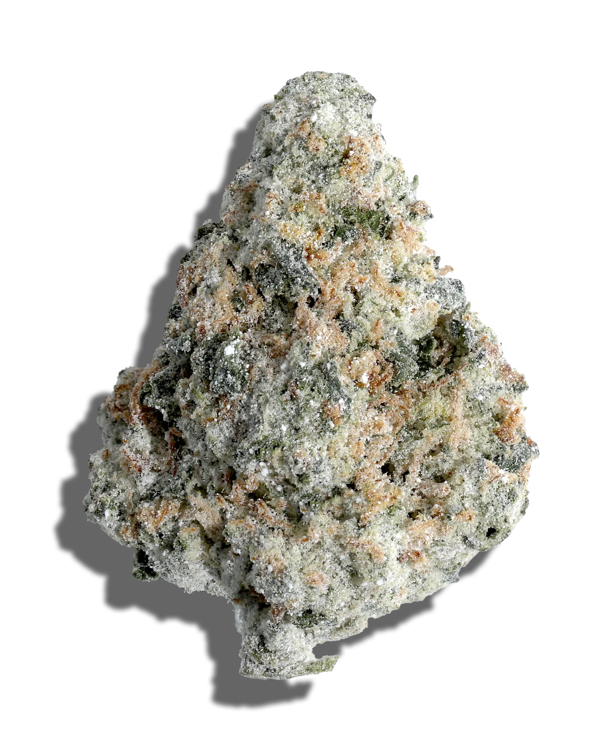Jenny Kush X Jack Herer Amp'd Live Resin Infused Flower 5g