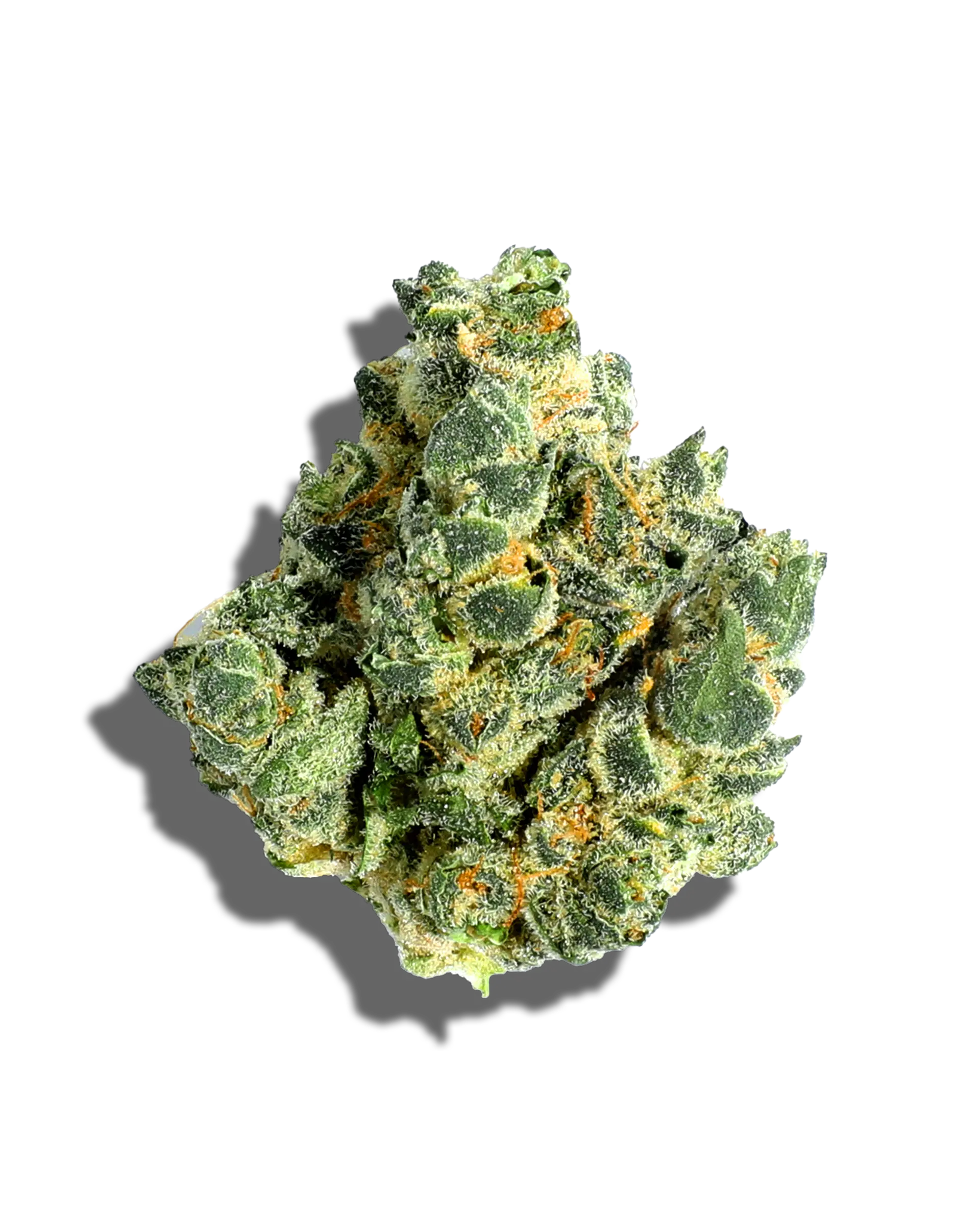 Dual OG 1oz