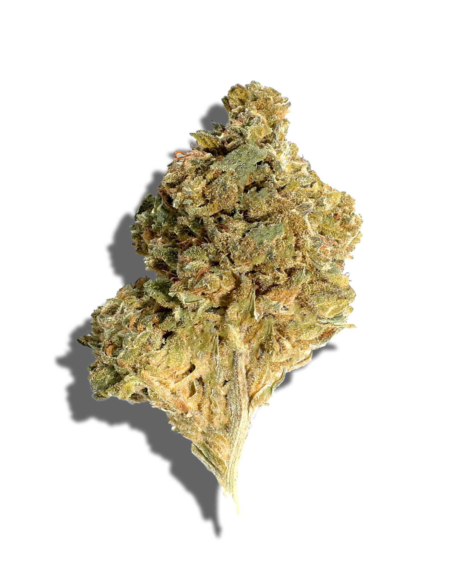 Sungrown Glitter Bomb 3.5g