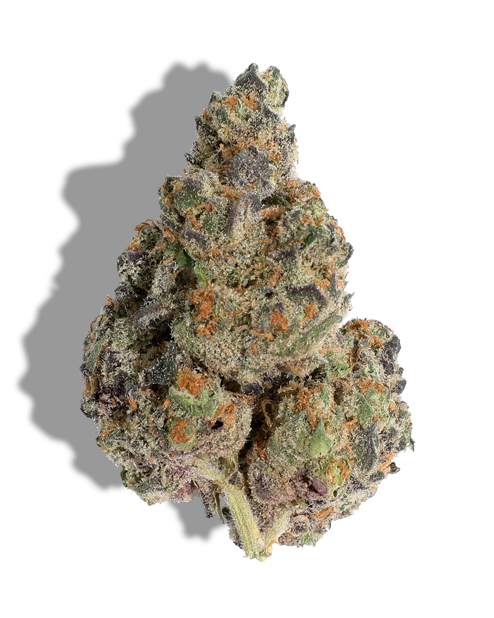 Apple Crisp 1oz
