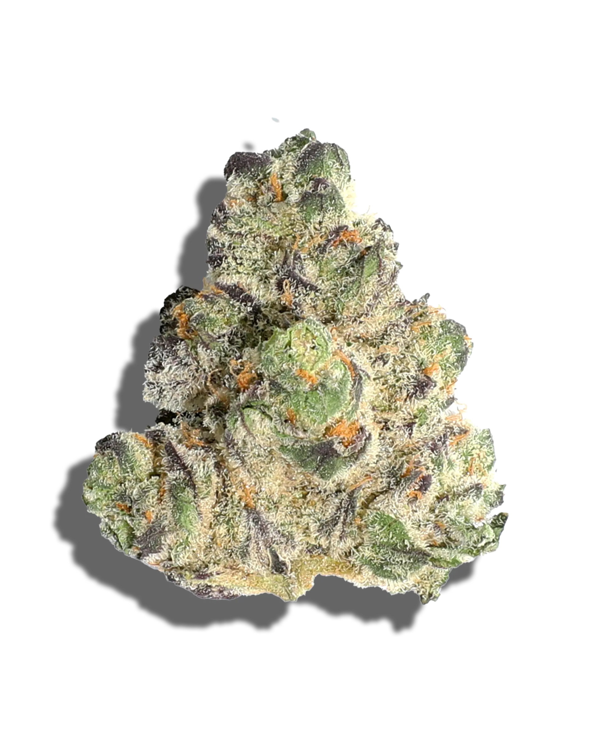 Ogee Crasher 3.5g