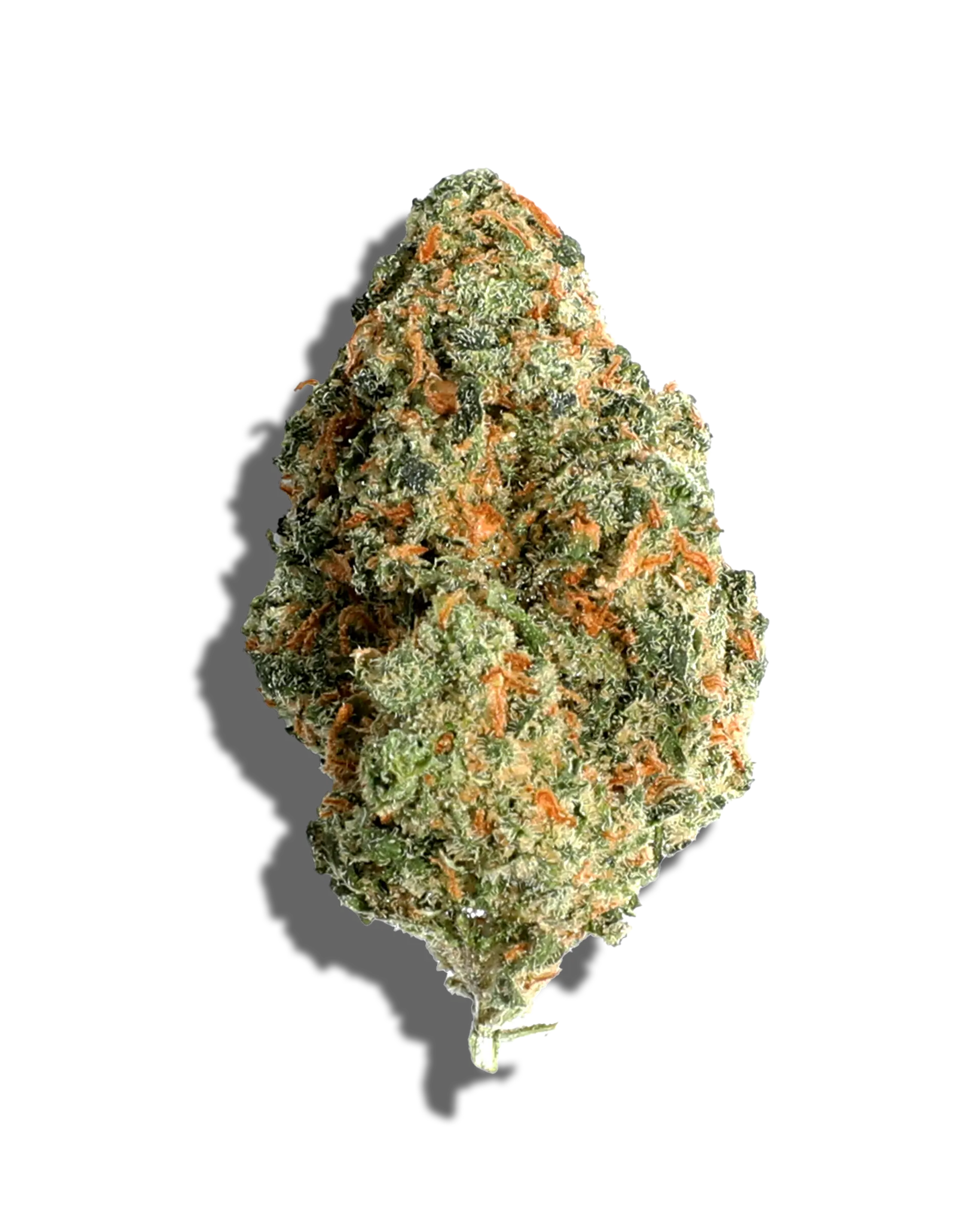 J1 1oz