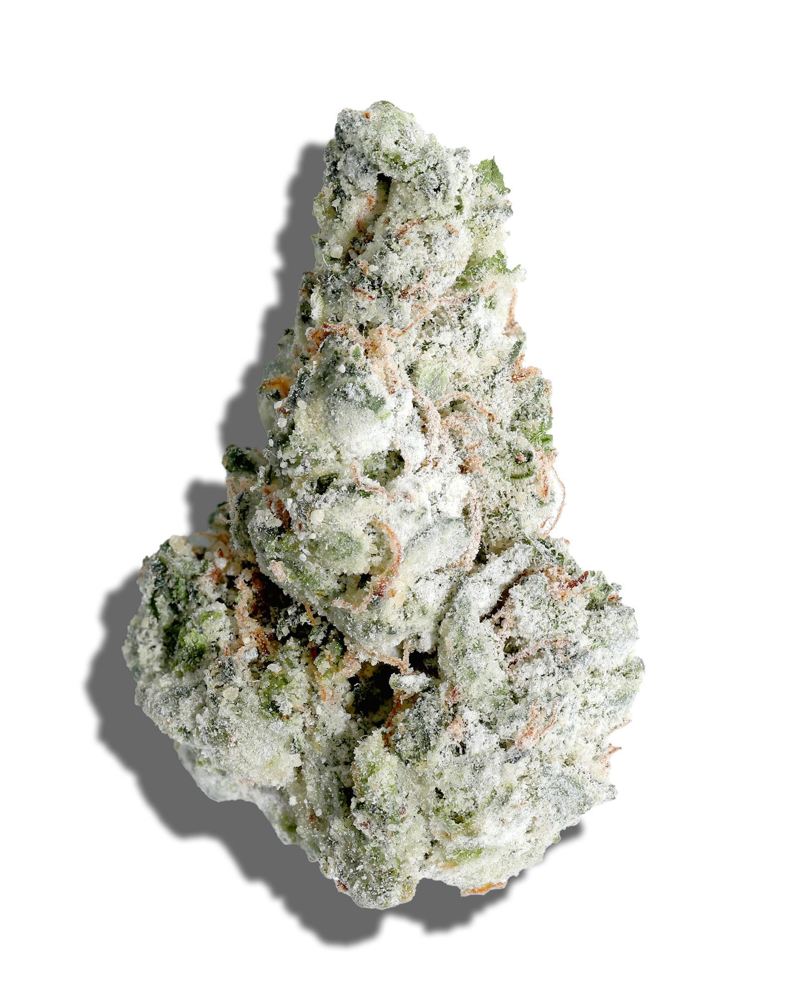 Dosidos X Sherb Cream Pie Amp'd Live Resin Infused Flower 5g, 1 of 2