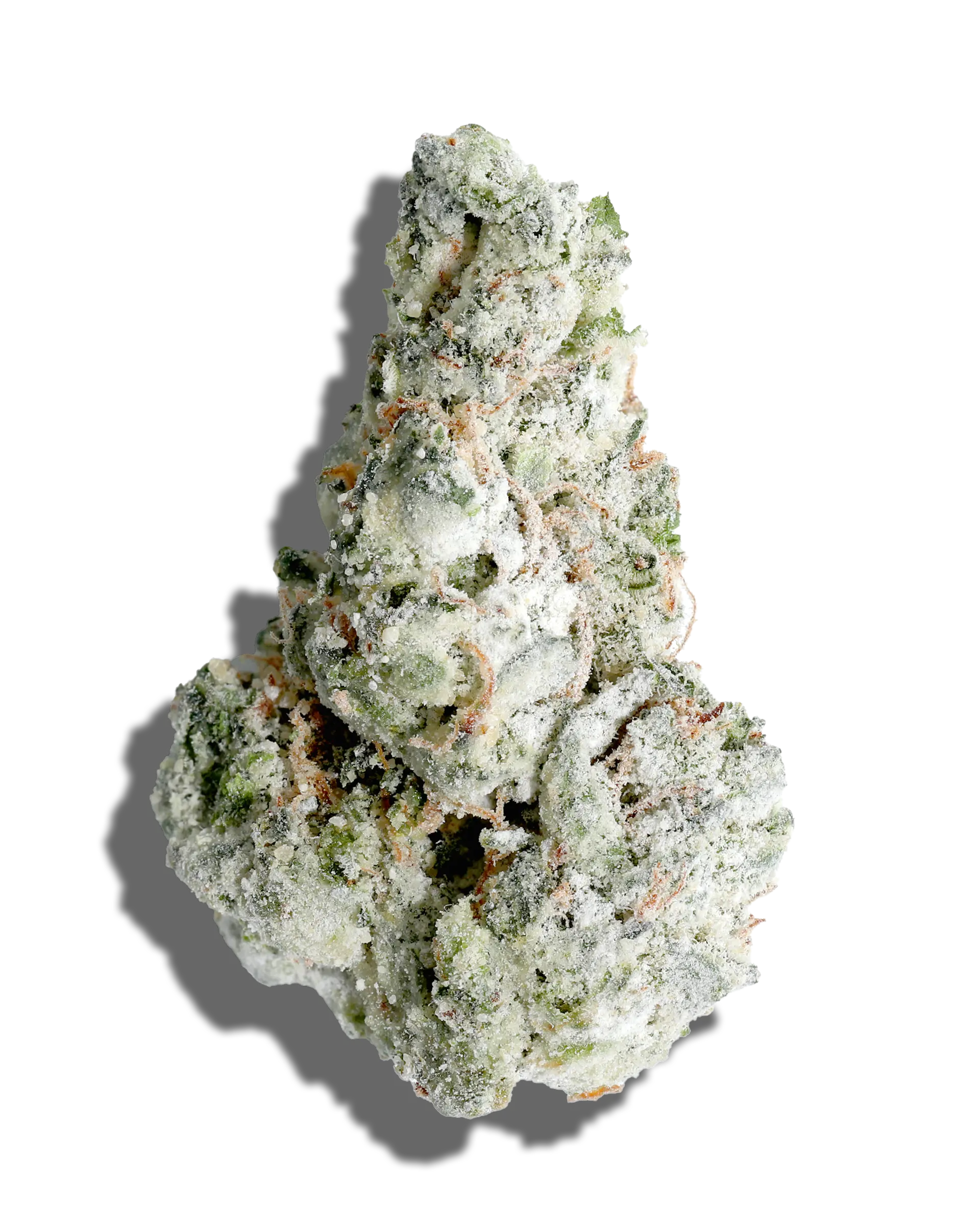 Dosidos X Sherb Cream Pie Amp'd Live Resin Infused Flower 5g