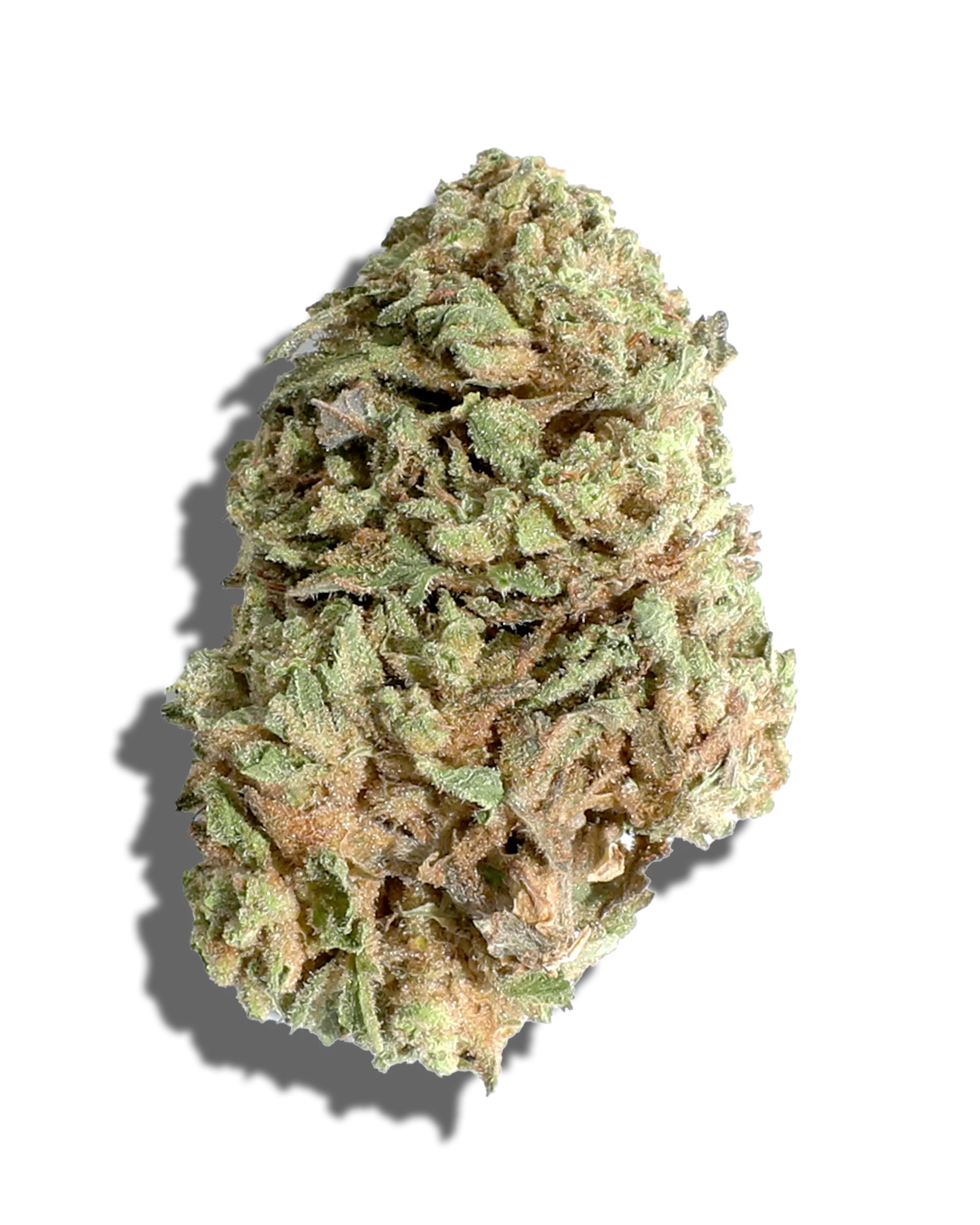 Sungrown Orange Cream Pop X GMO Nerds 3.5g