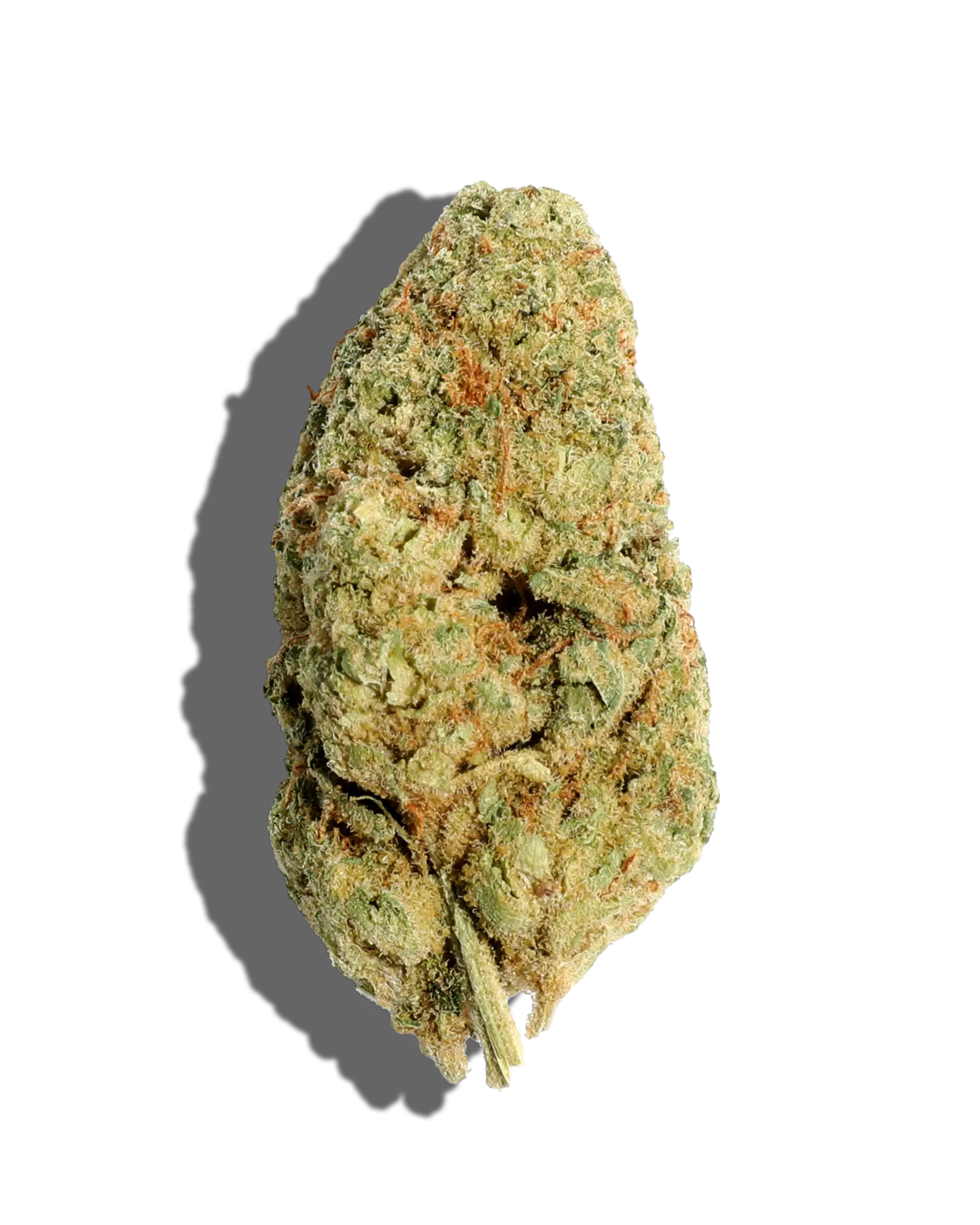 Papaya Bx 3.5g