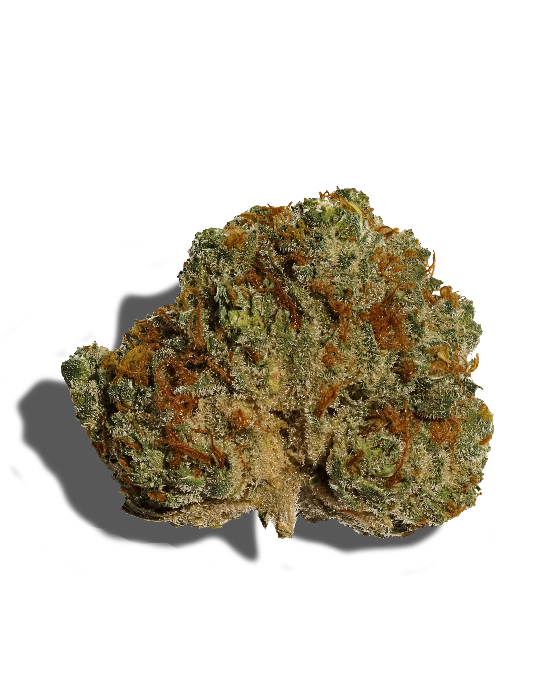 Gmoreoz 1oz
