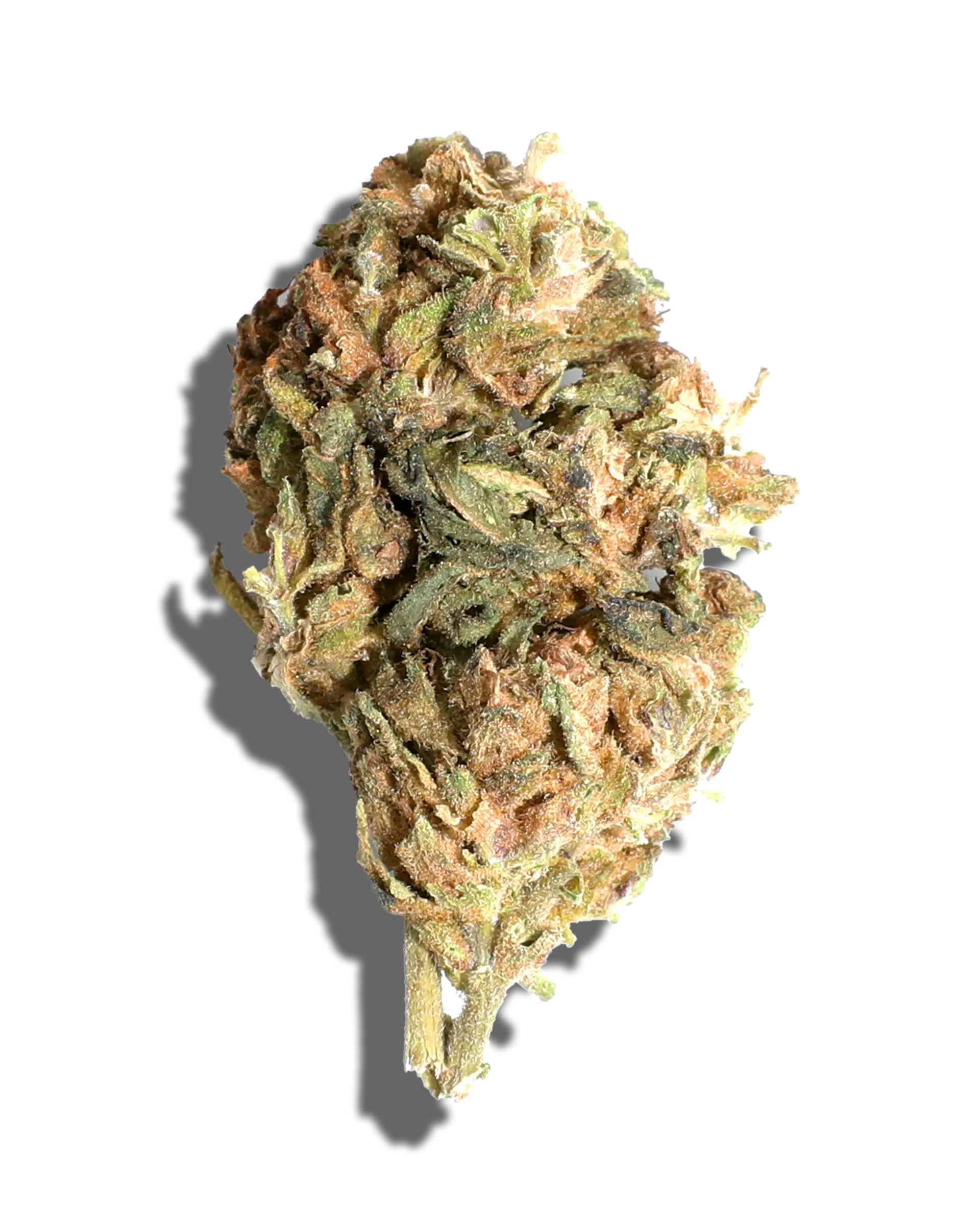 Sungrown Fruit Stand 1oz