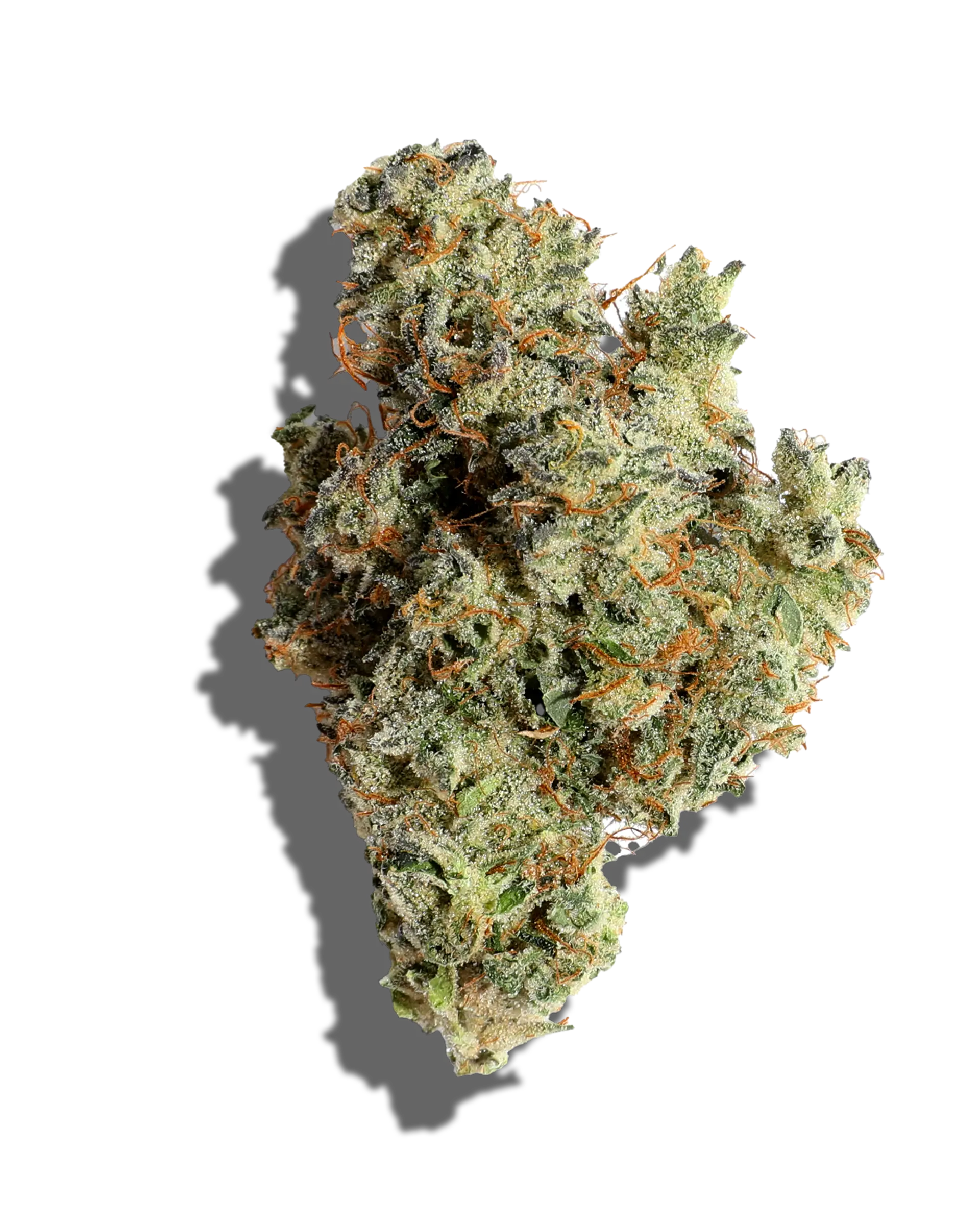 Sugar Cookie 1oz