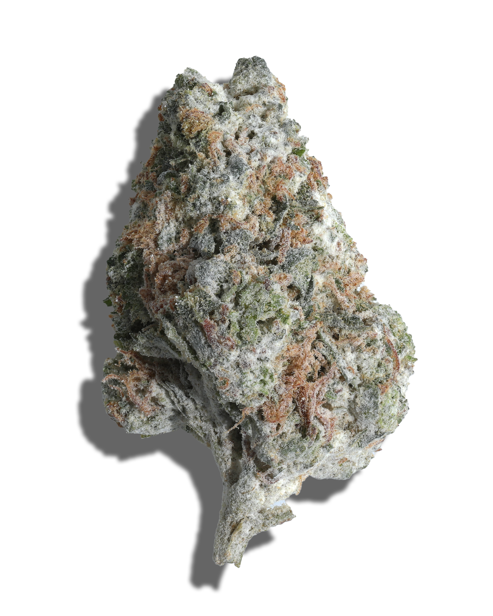 Bobby Wild X Biscotti Mints Amp'd Live Resin Infused Flower 5g, 1 of 2