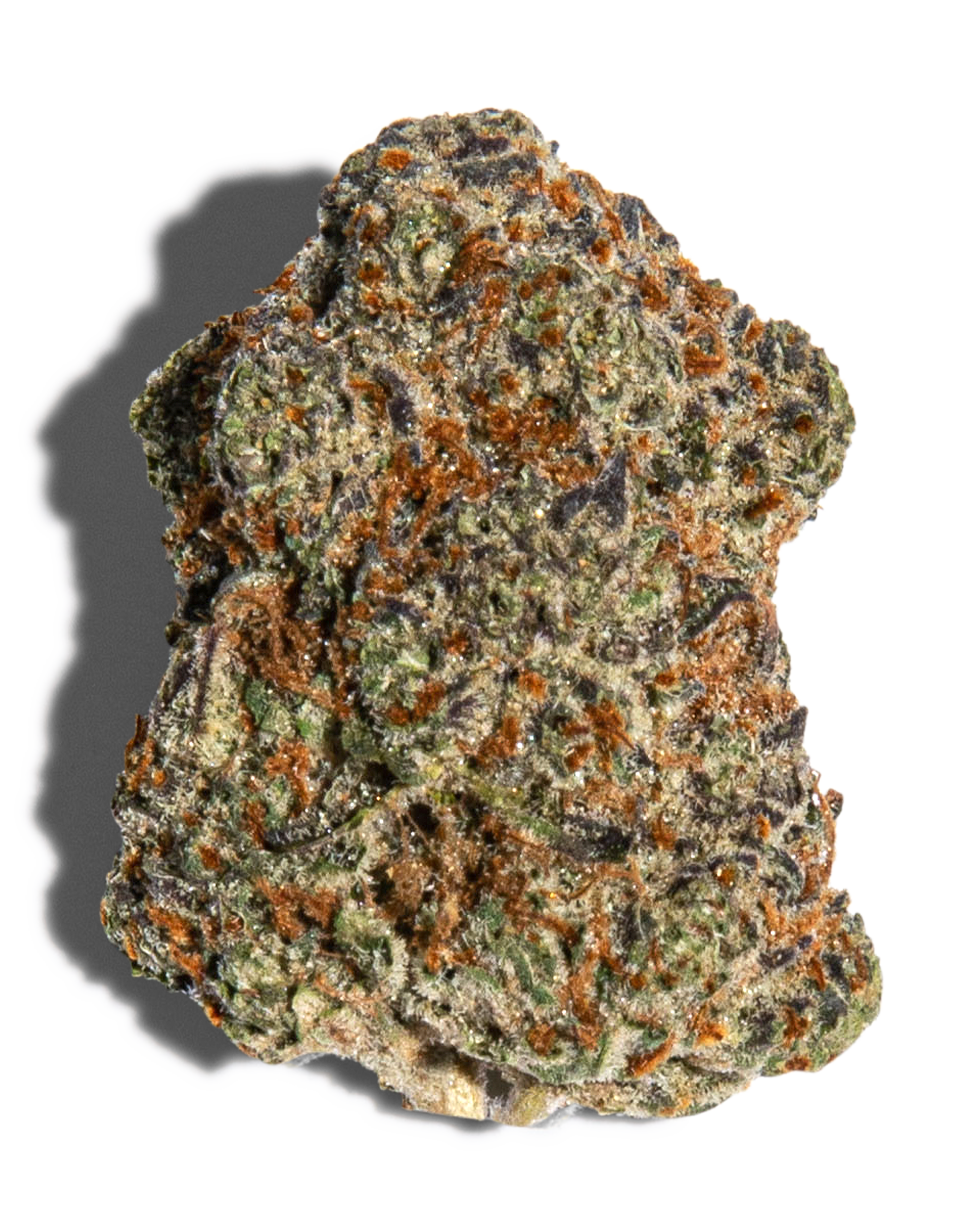 Uncle Bruce Flower