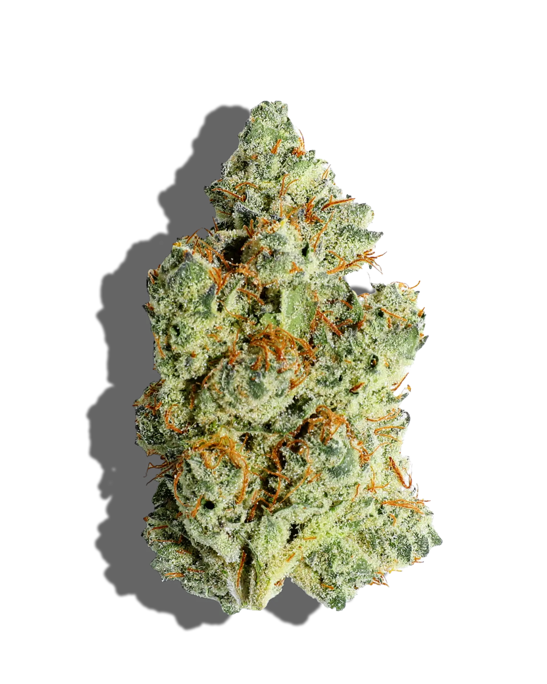 The Foxy Lady 3.5g