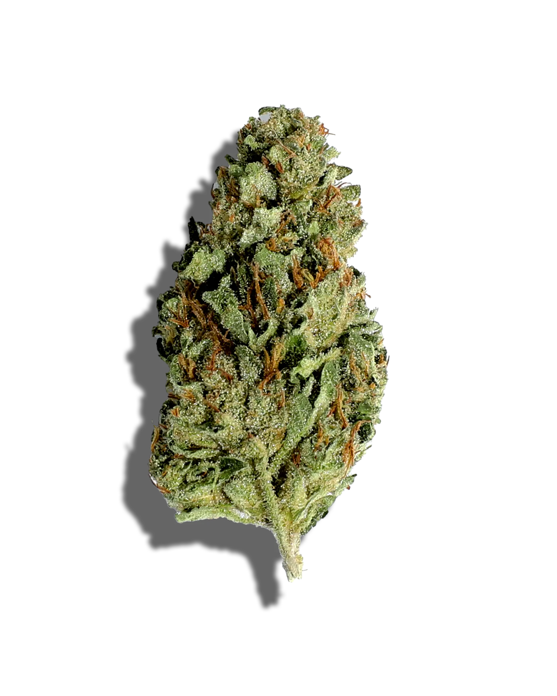 Sungrown Apples & Bananas 1oz