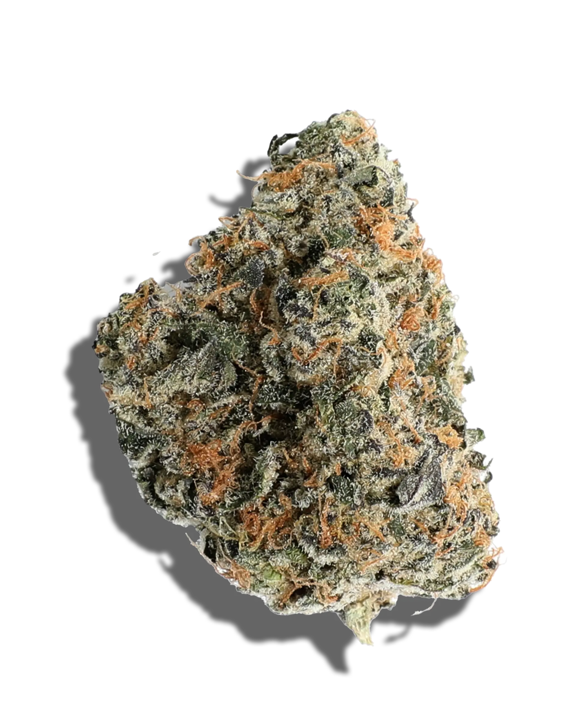 Grape Fritter 3.5g