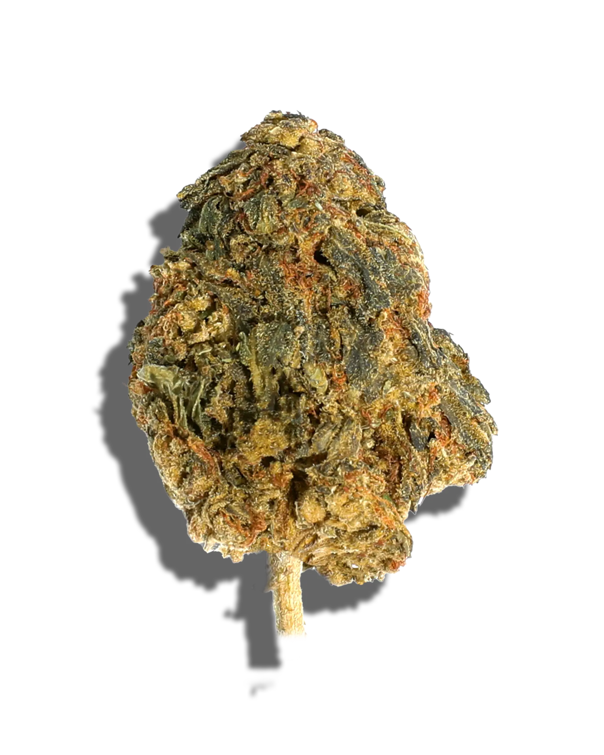 Sungrown Dark Ember 3.5g