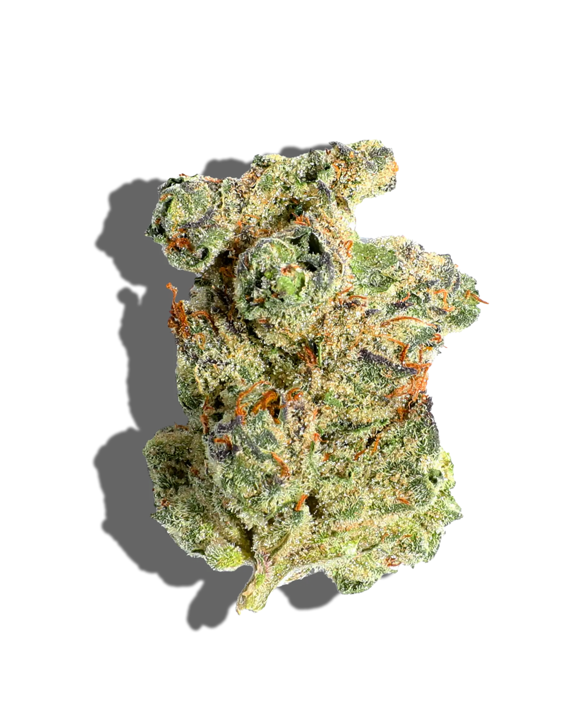 Mimosa 1oz